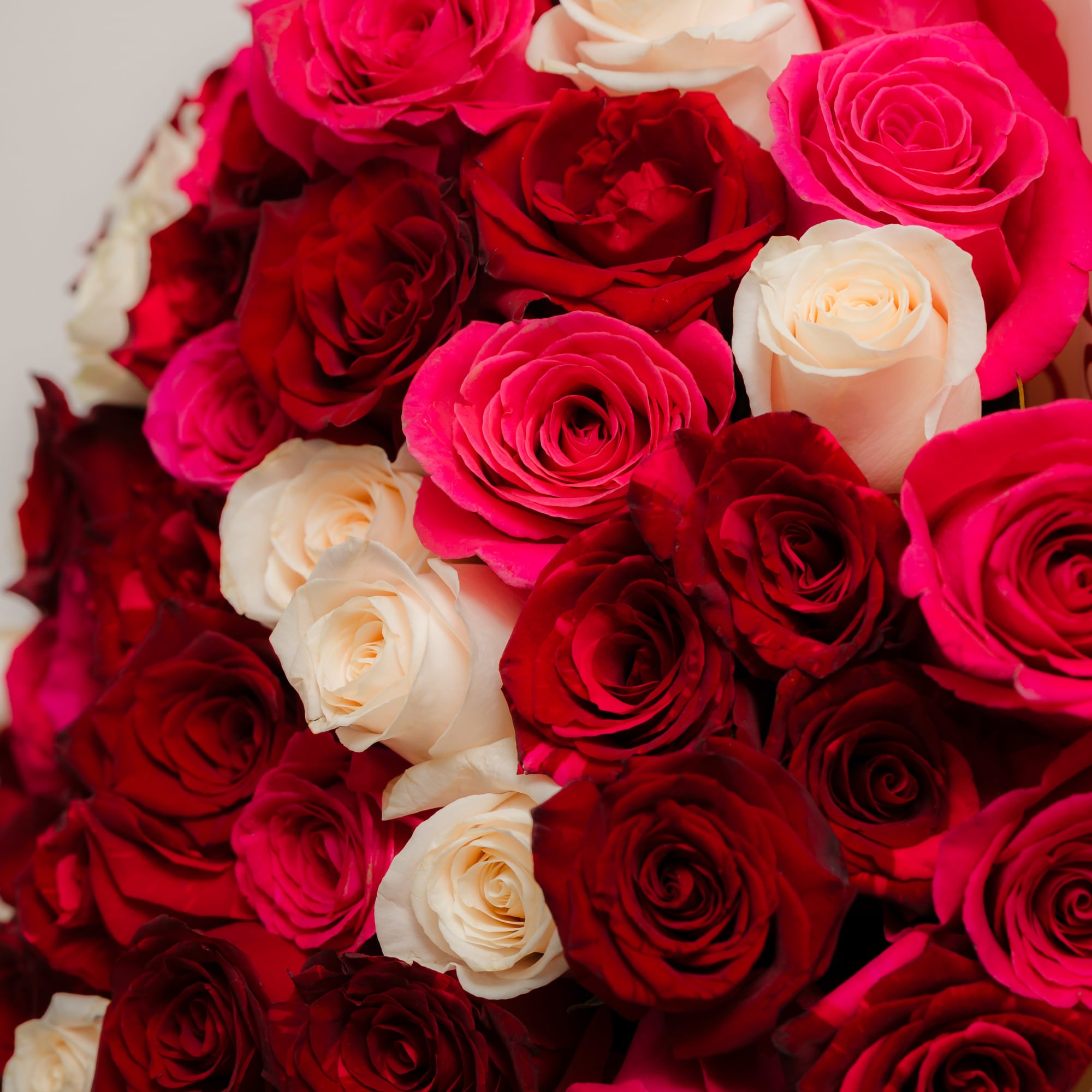 Bouquet of red, hot pink, and white roses