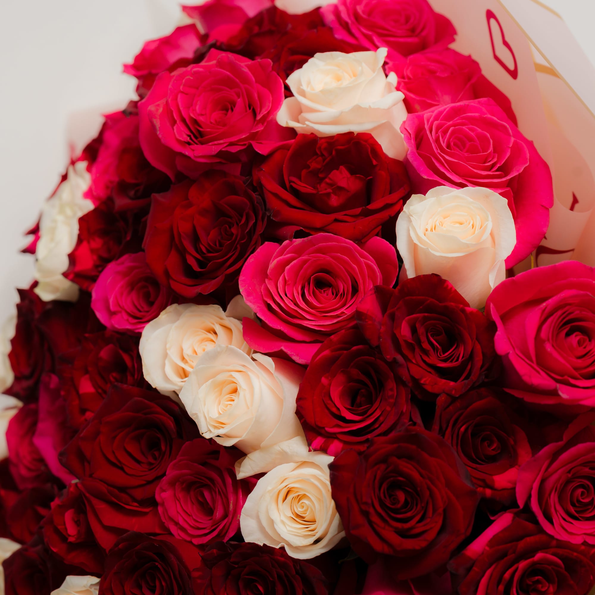 Bouquet of red, hot pink, and white roses wrapped in pale paper