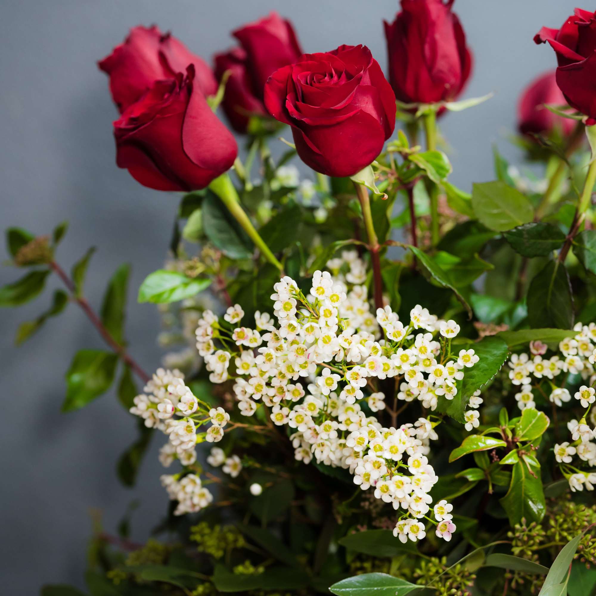 Red roses with small white filler flowers in a vase