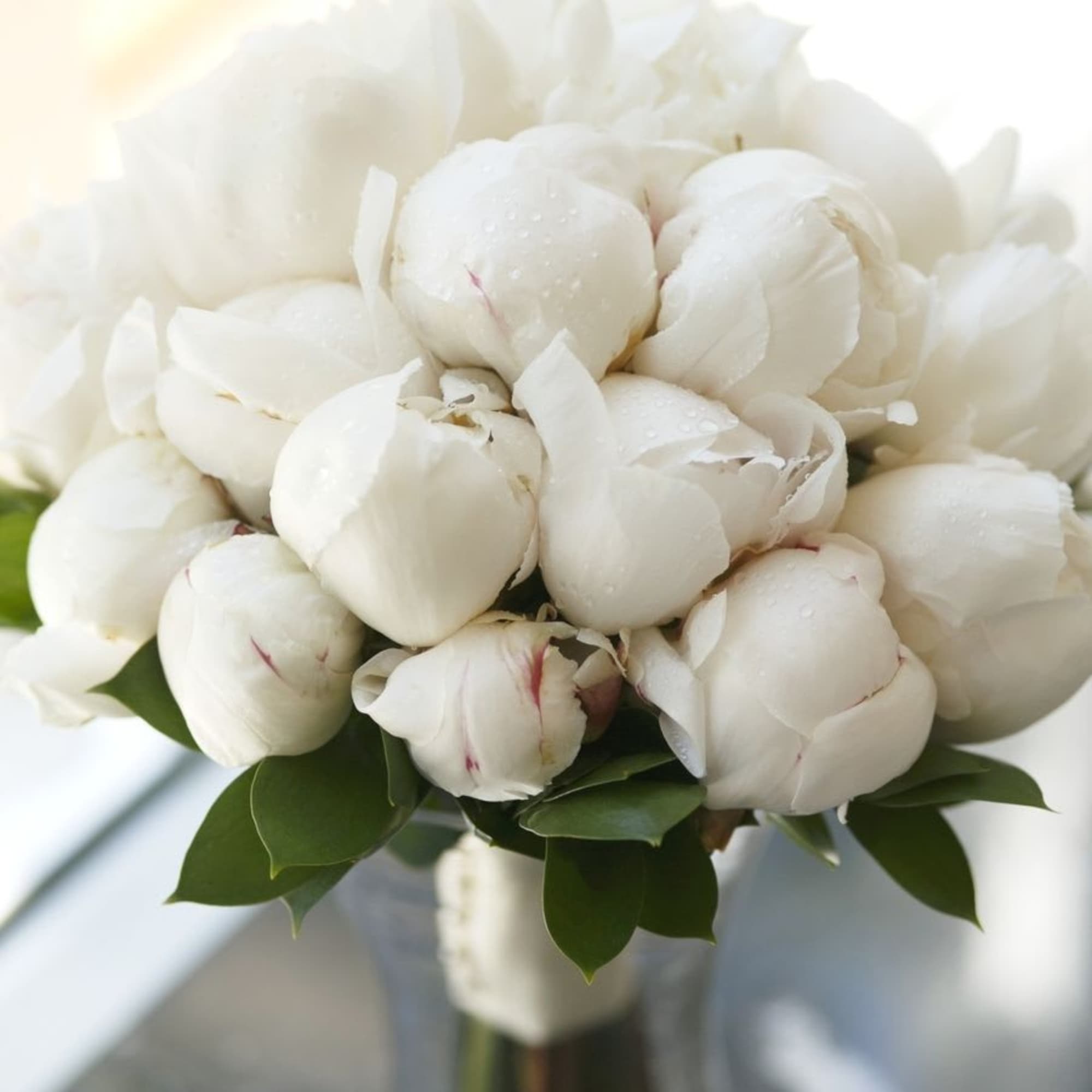 White peony bouquet in a glass vase