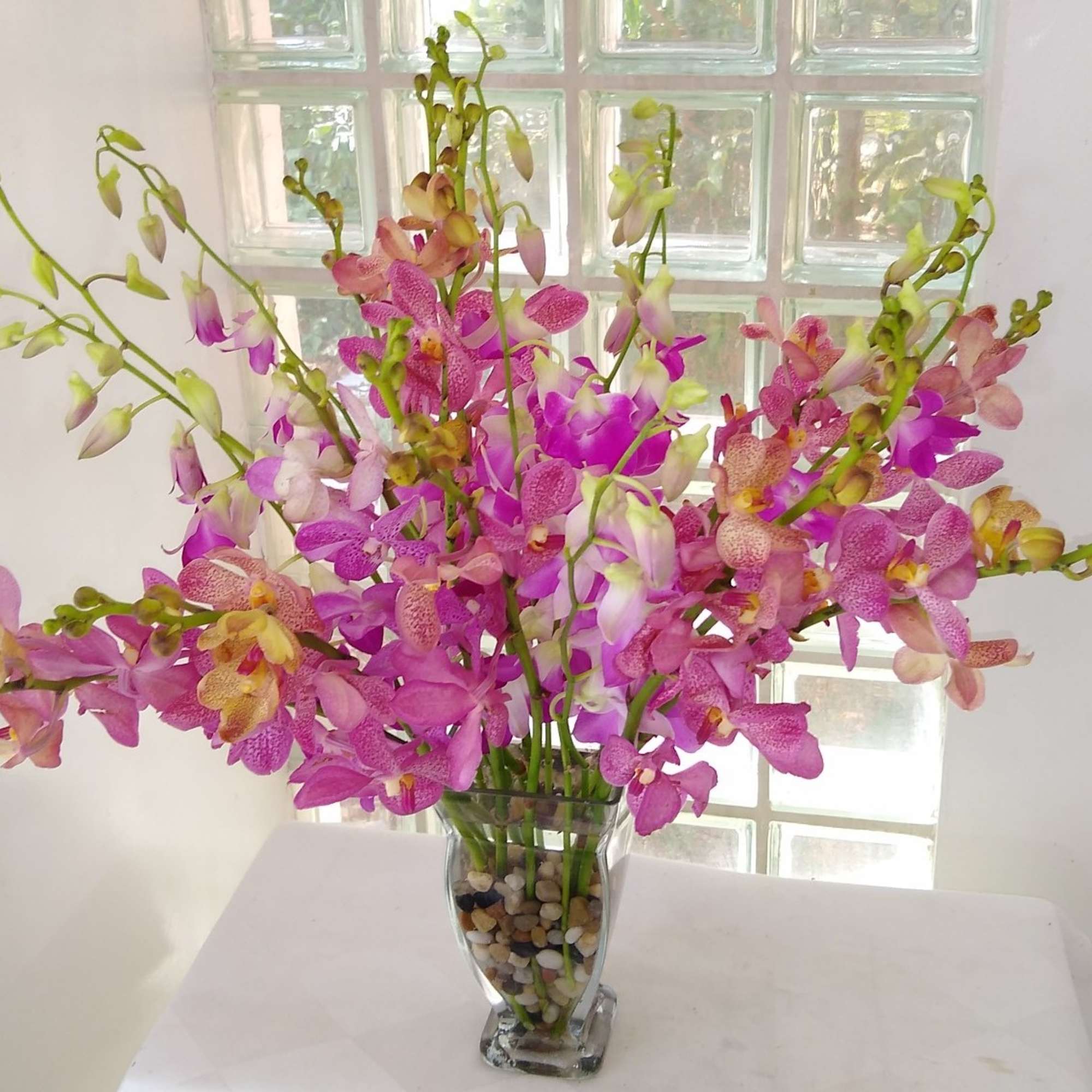Pink and purple orchids arranged in a clear glass vase
