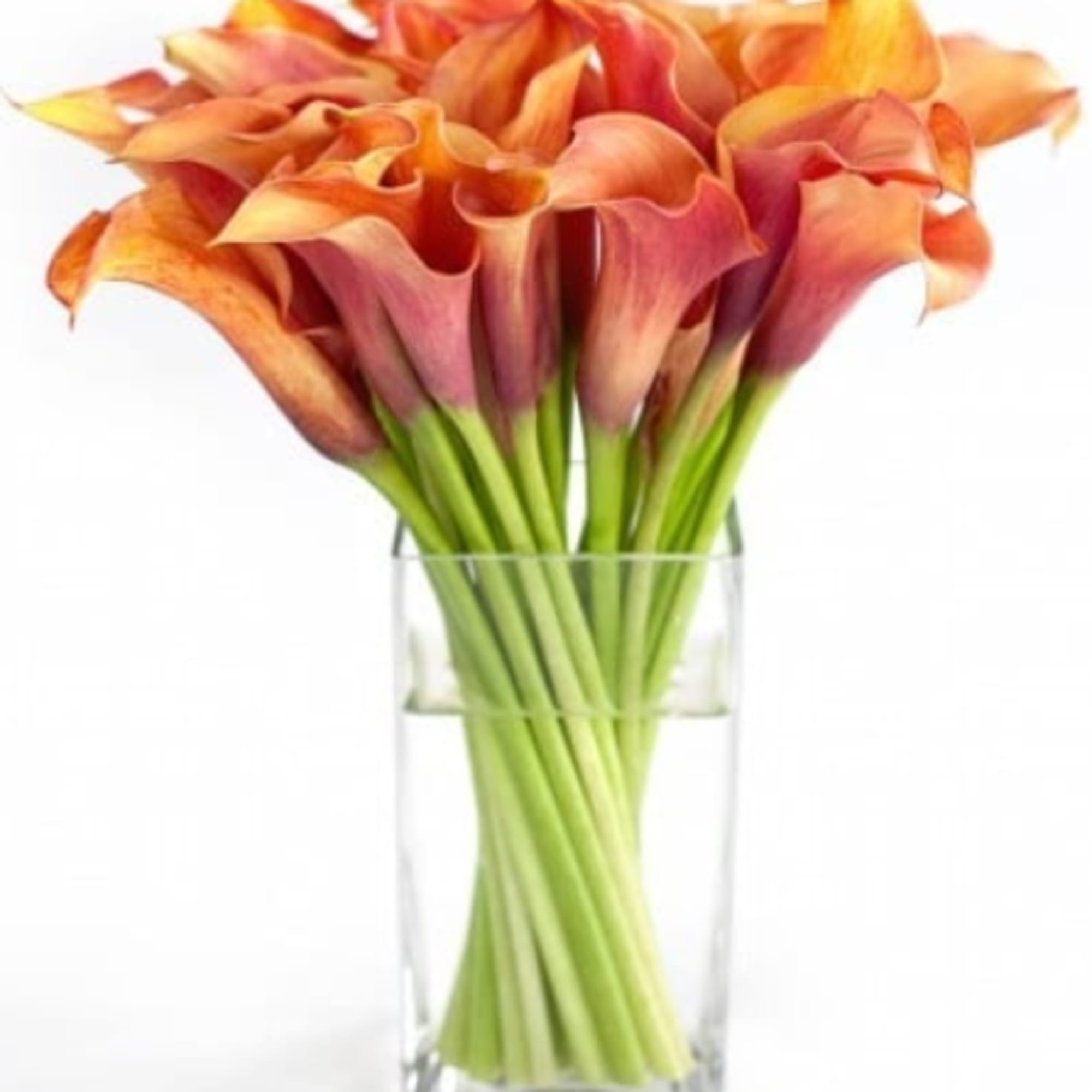 Bouquet of orange and pink calla lilies in a clear glass vase