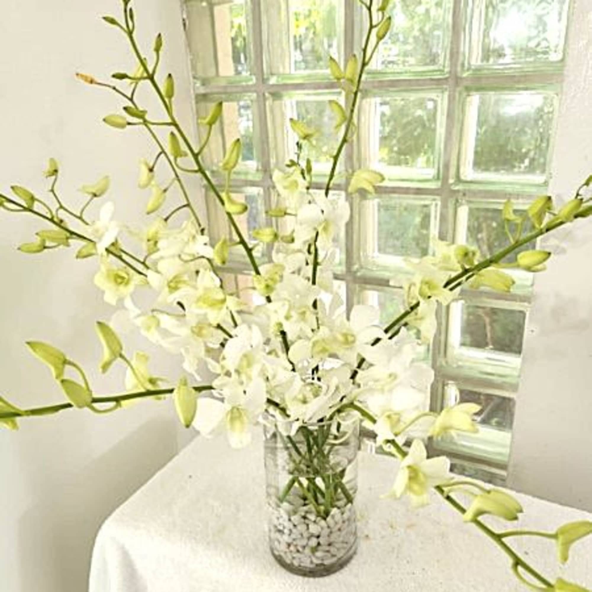 White orchid arrangement in a clear glass vase