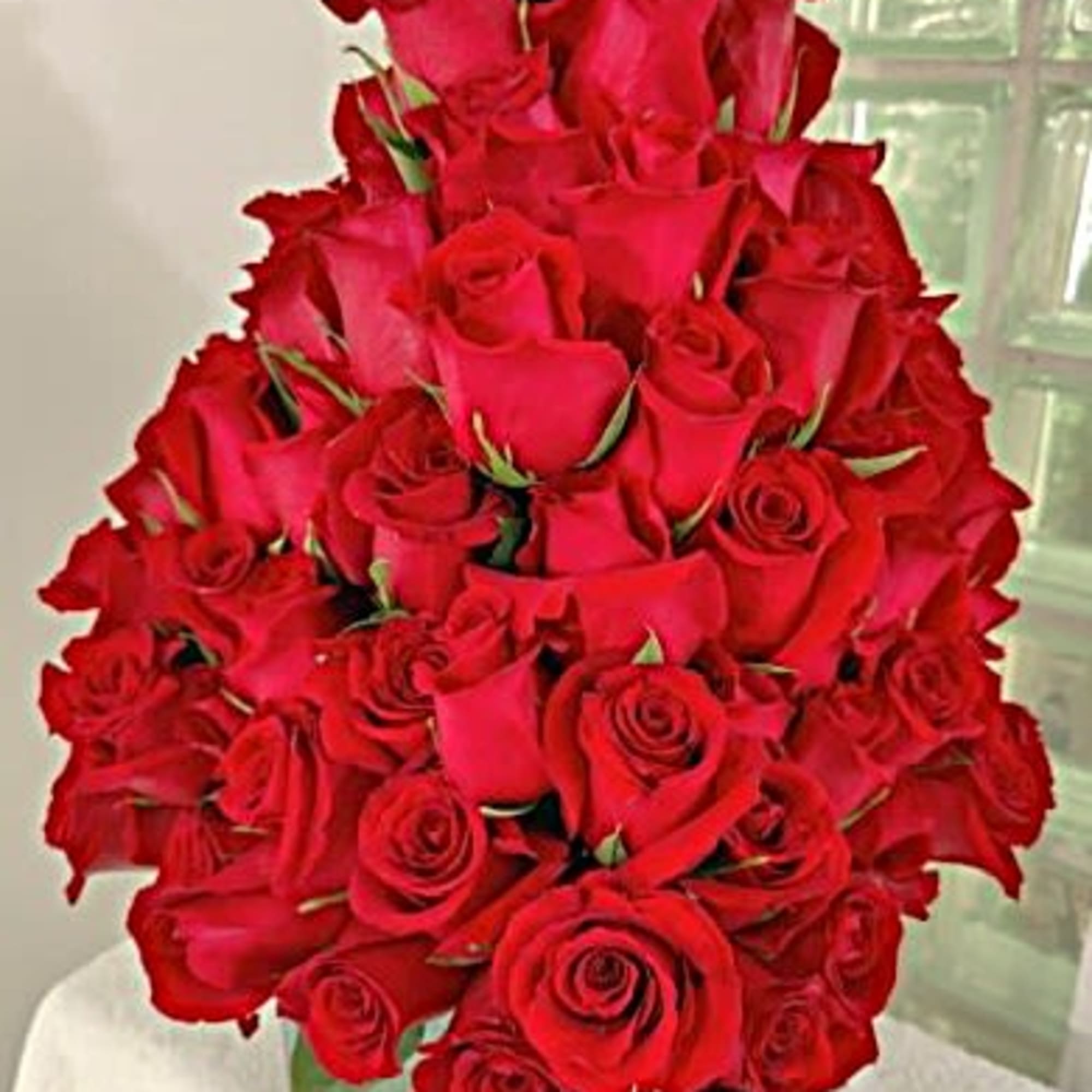 Premium Ecuadorian Roses make up this stunning display. The roses are cut