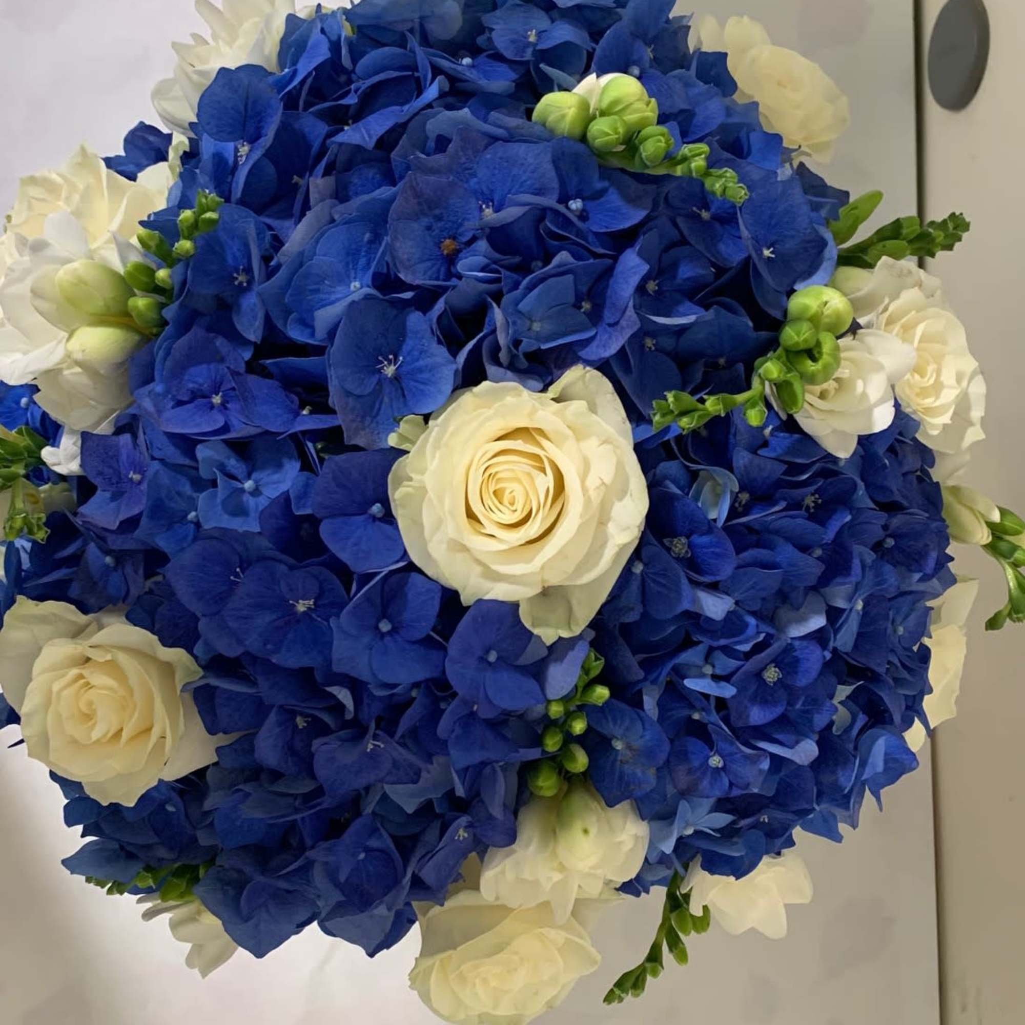 Beautiful arrangement, made with the finest Blue Dutch Hydrangea and White Roses, photo 2 of 3