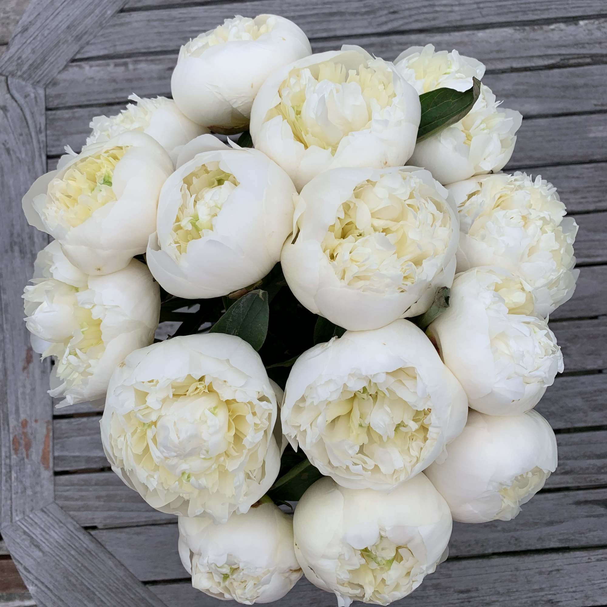 Possibly the most beautiful and fragrant peony arrangement you will ever get, photo 2 of 3
