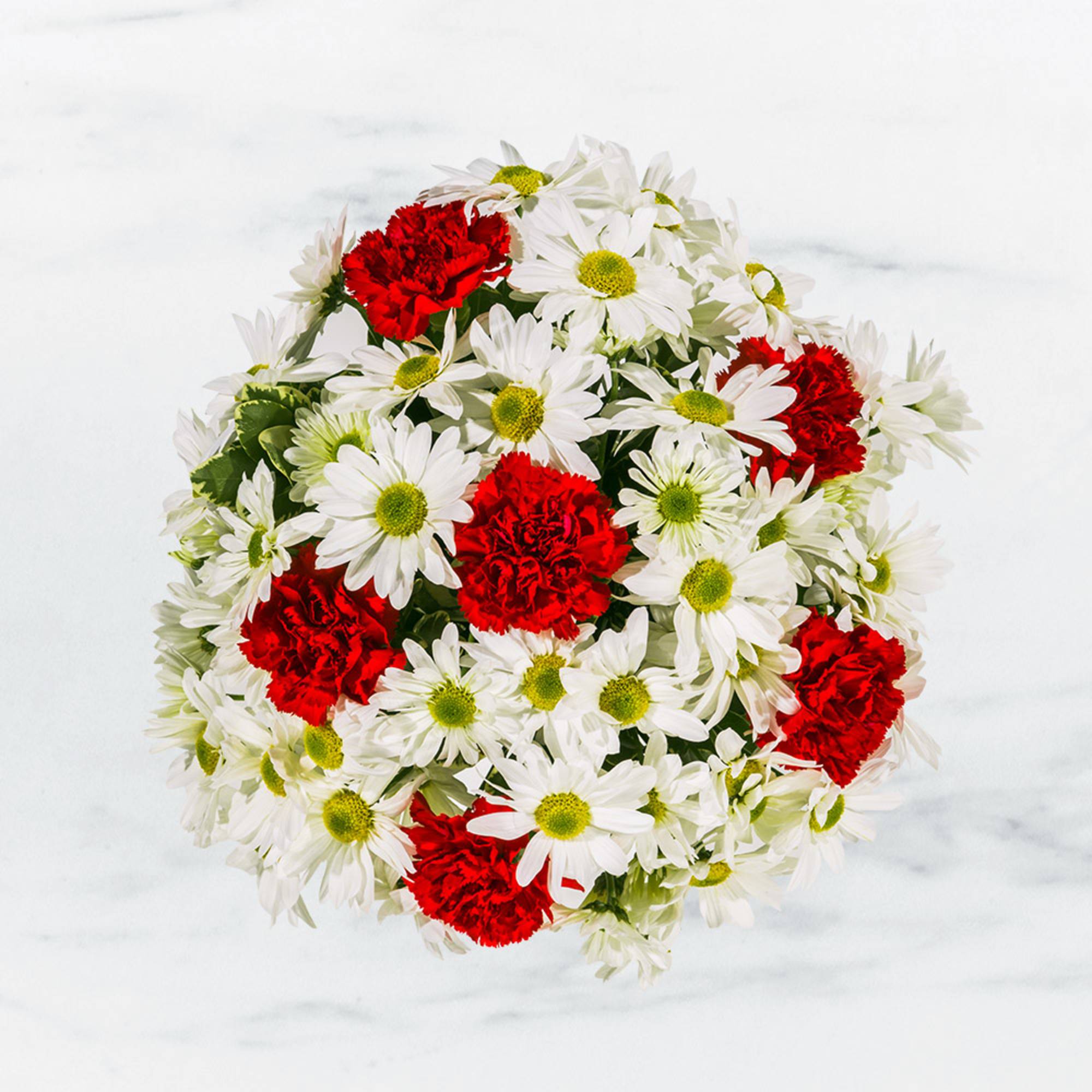 Bouquet of white daisies and red carnations