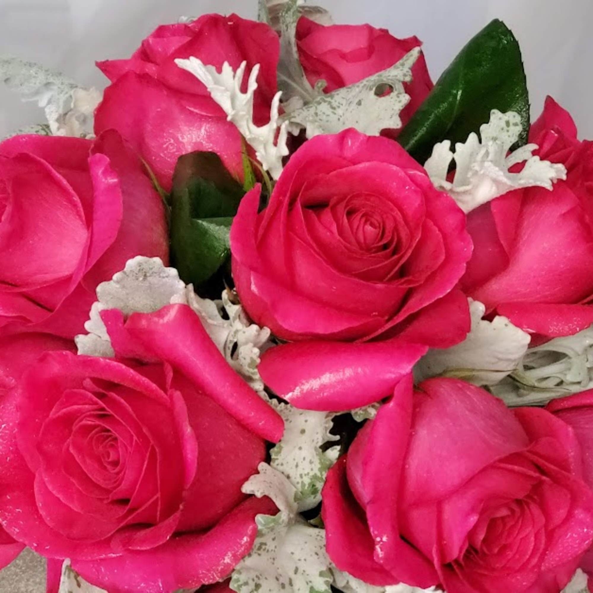 Red! White! Pink! Hot Pink! Yellow! Lavender! Orange! Bi-Colors! Roses come in, photo 5 of 6