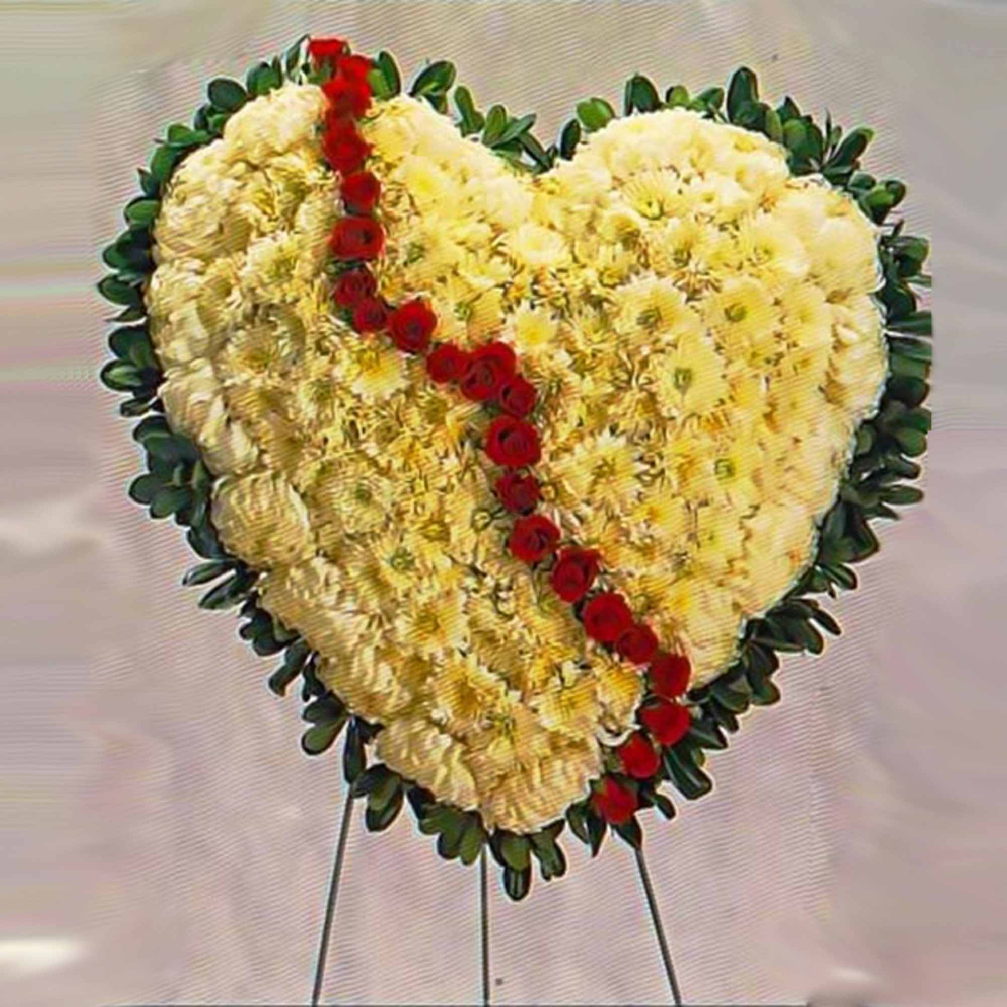 Heart-shaped standing arrangement of ivory flowers edged in green with a diagonal line of red roses