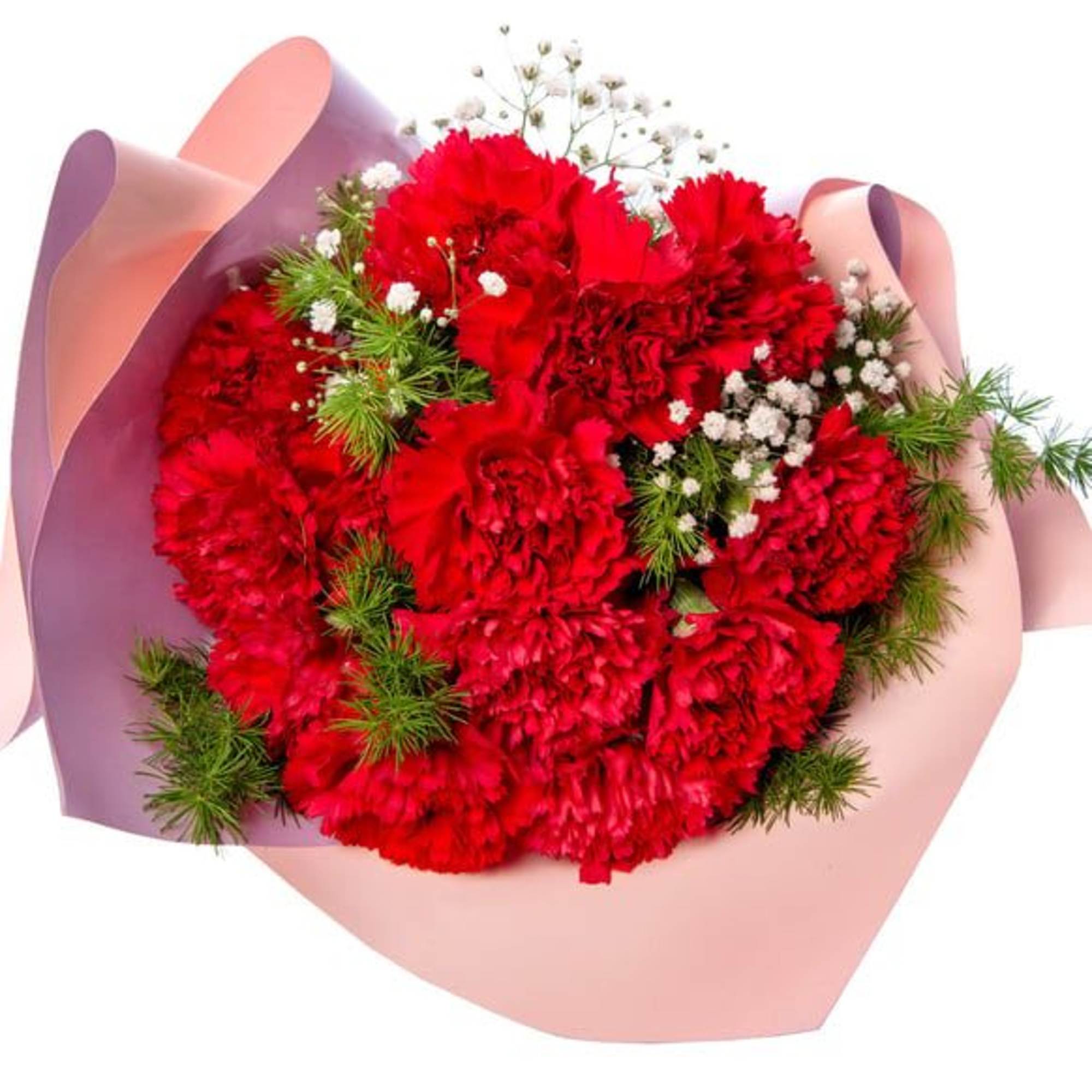 Bouquet of red carnations with baby's breath in pink and lavender wrap, photo 2 of 3