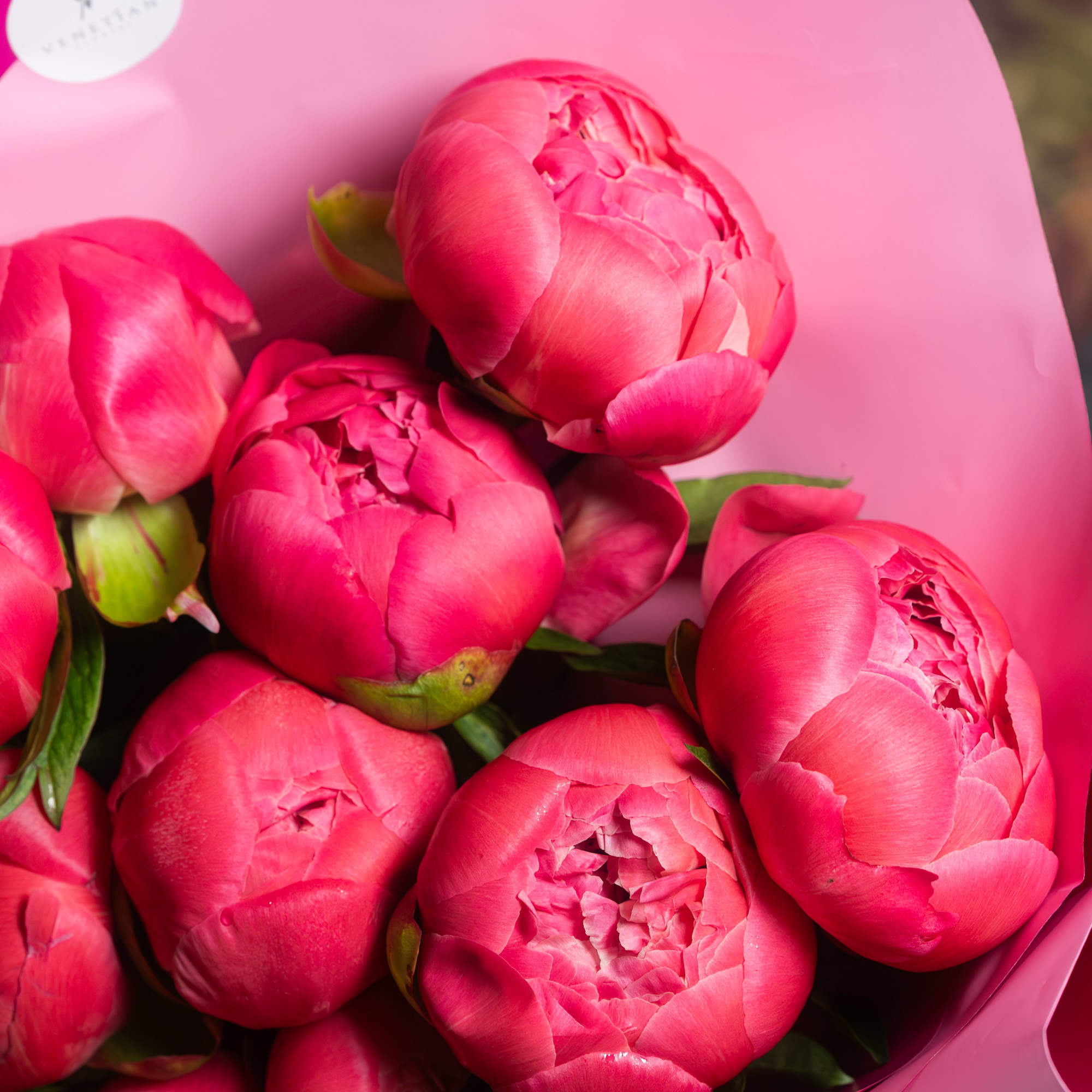 A lush cluster of vivid pink peonies makes a joyful, romantic statement-perfect, photo 2 of 3