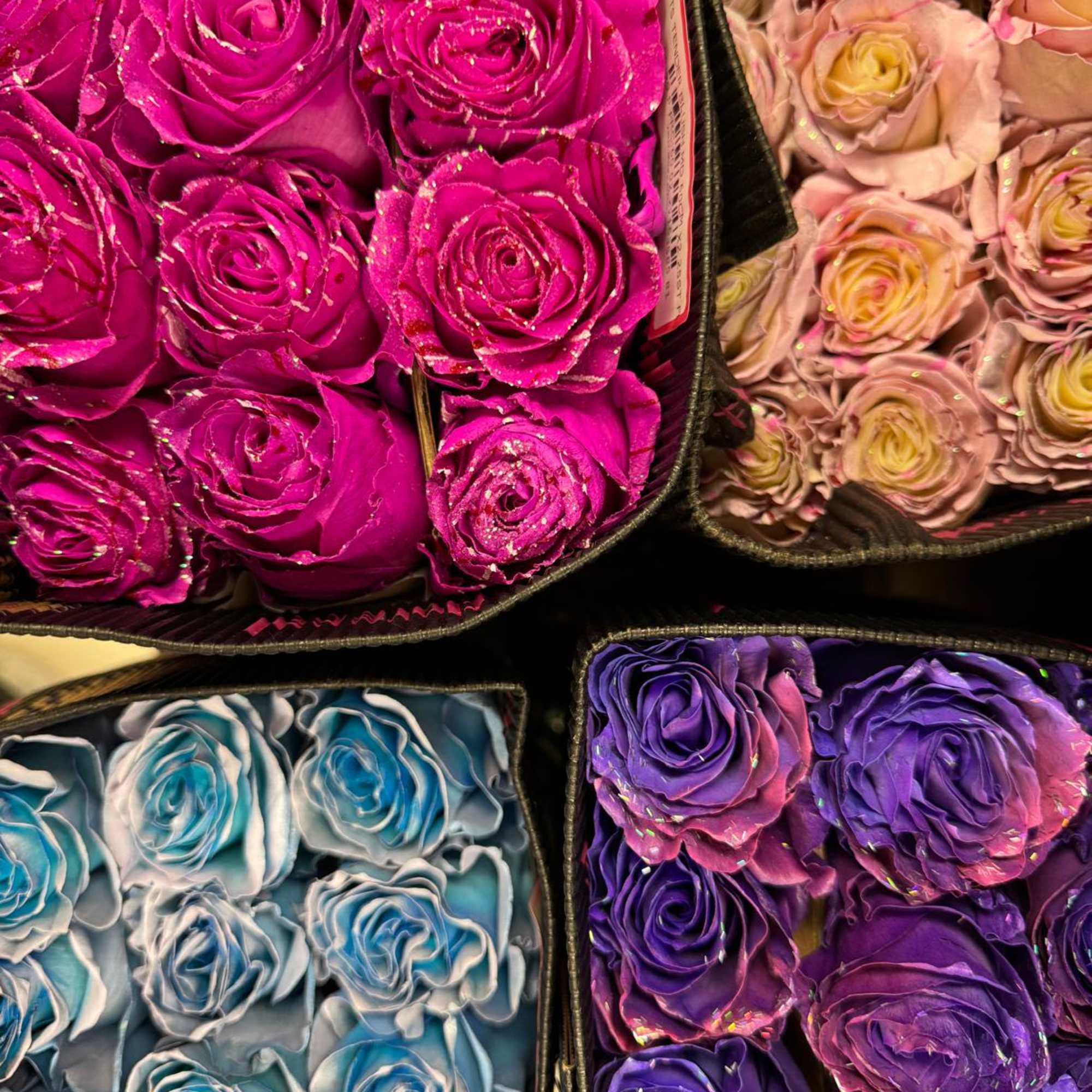 Choose from our luxurious tinted roses, available in stunning color options and, photo 2 of 2