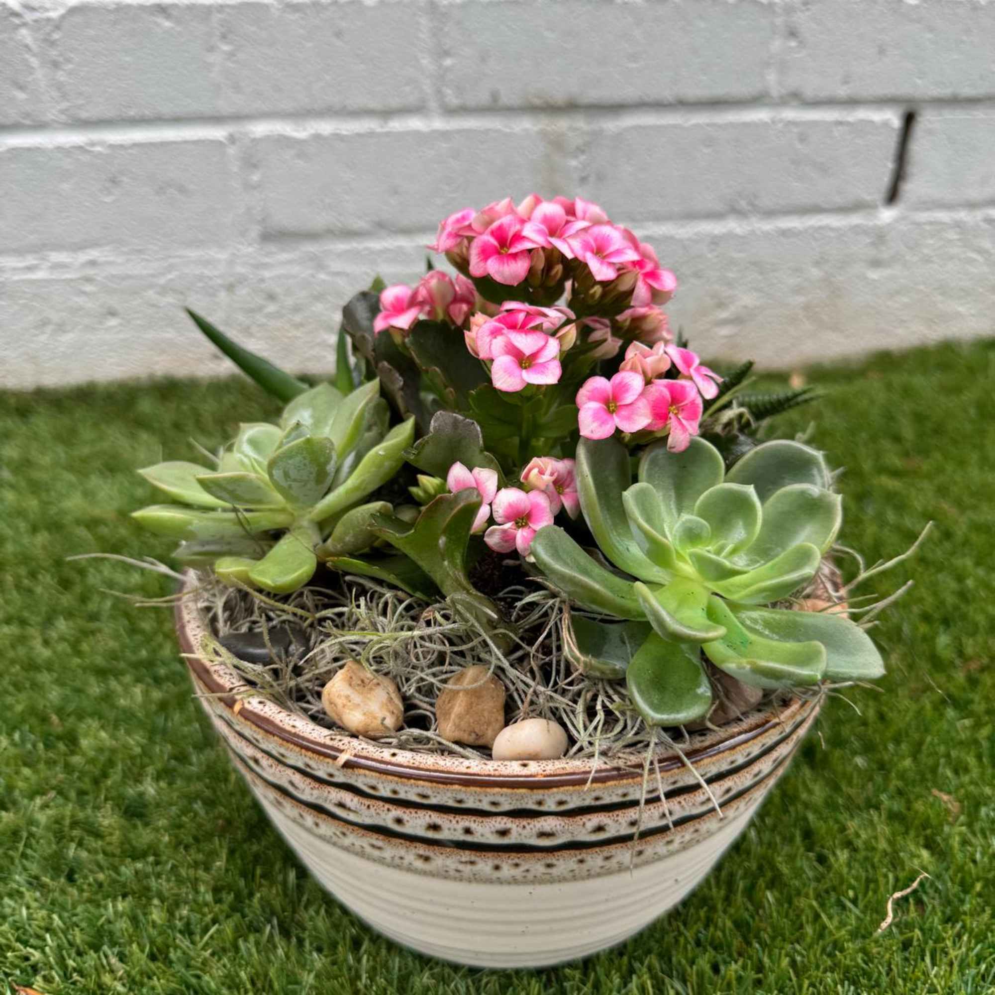 Potted succulent arrangement with pink flowers in a ceramic bowl