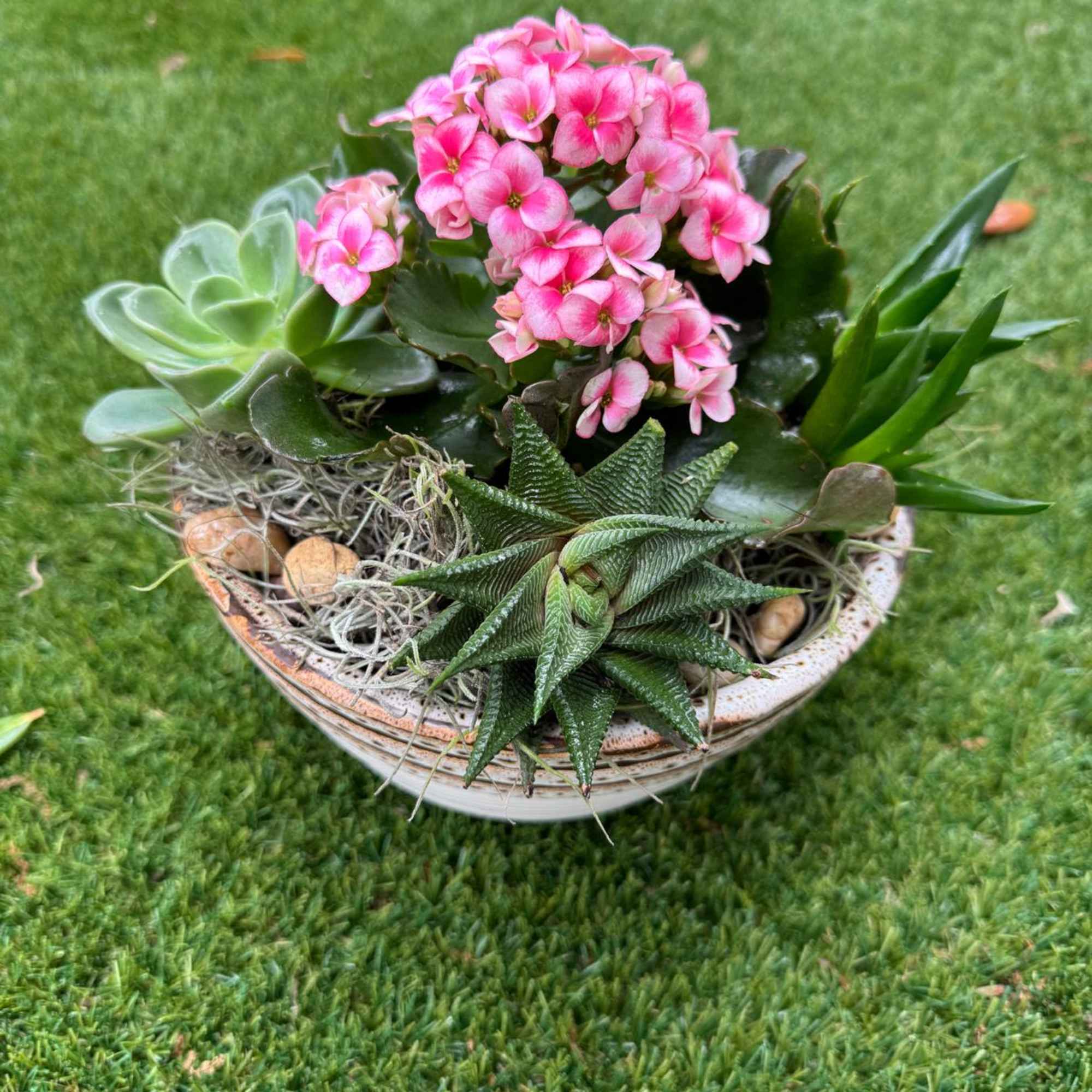 Potted succulent arrangement with pink blooms in a shallow bowl