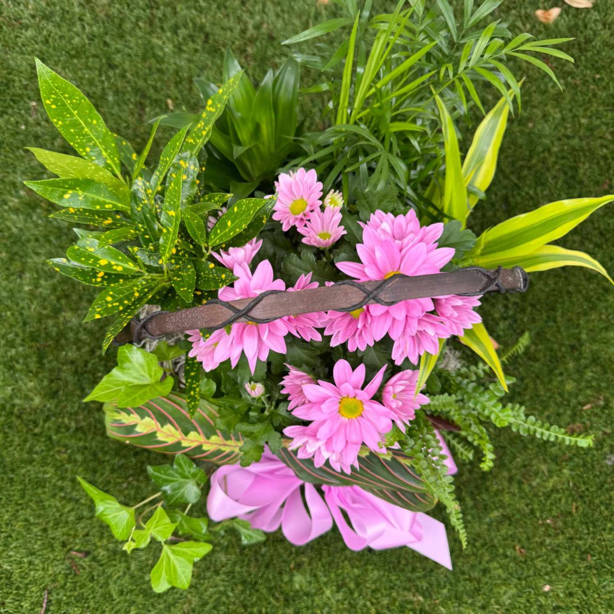 Pink daisy bouquet with mixed tropical foliage and a pink ribbon
