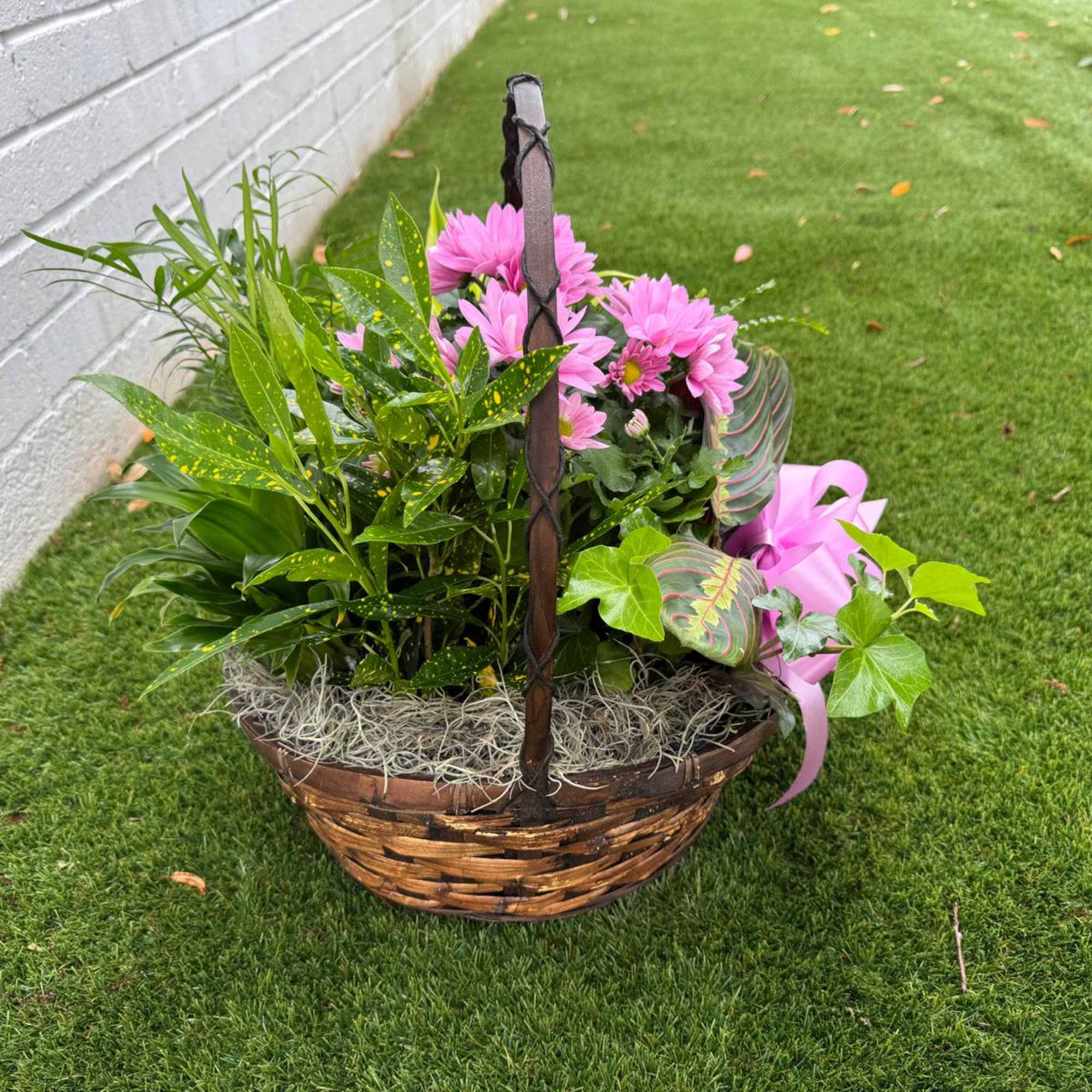 Basket planter with pink flowers and assorted green plants