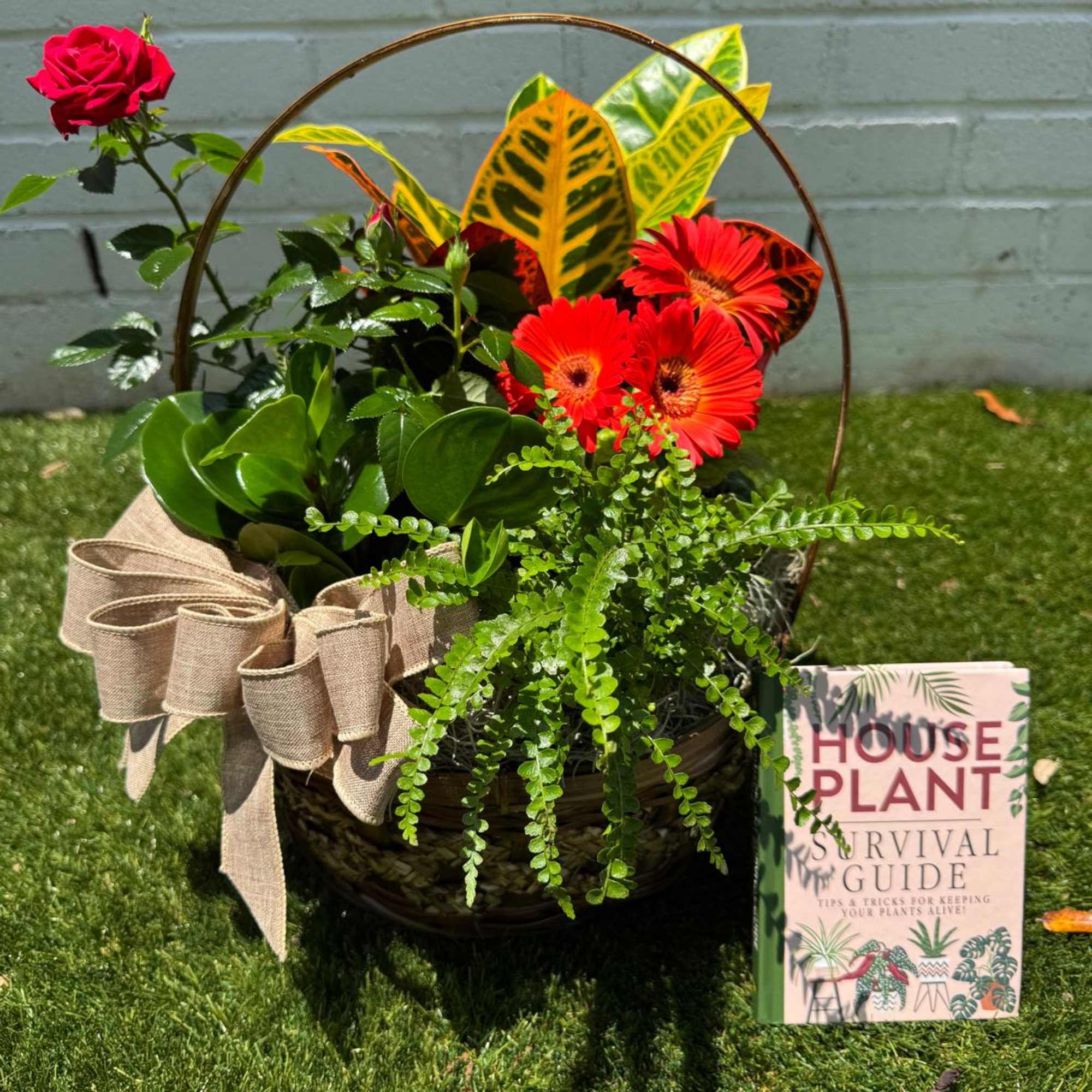 Houseplant basket with a red rose and orange gerbera daisies