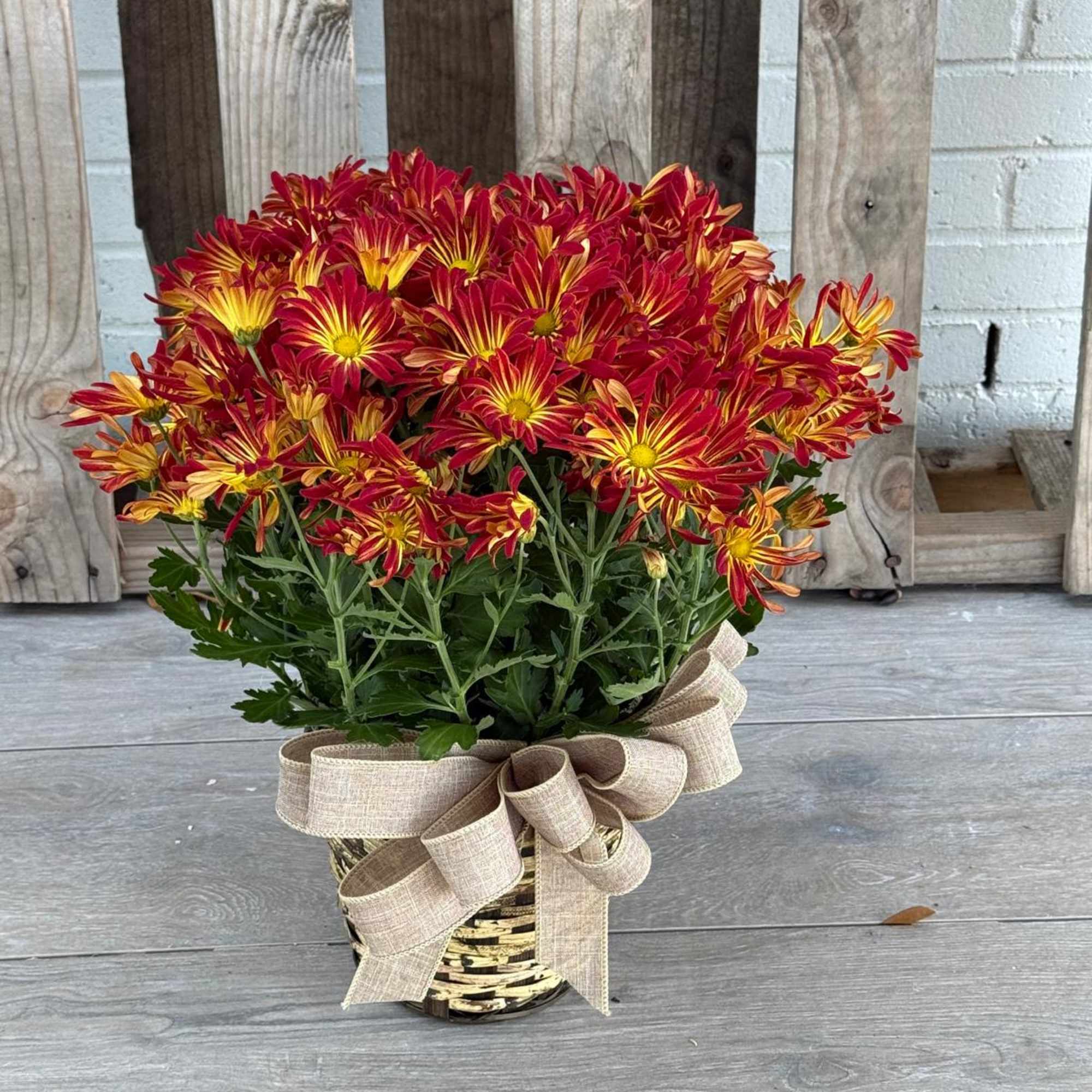 Bring the warmth of fall into your home with our Autumn Sunset