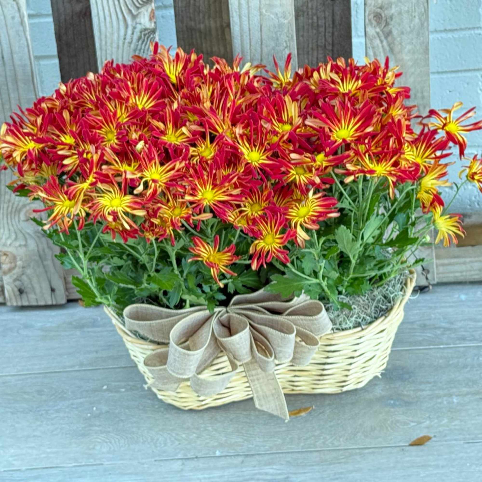 Bring the warmth of fall into your home with our Autumn Sunset