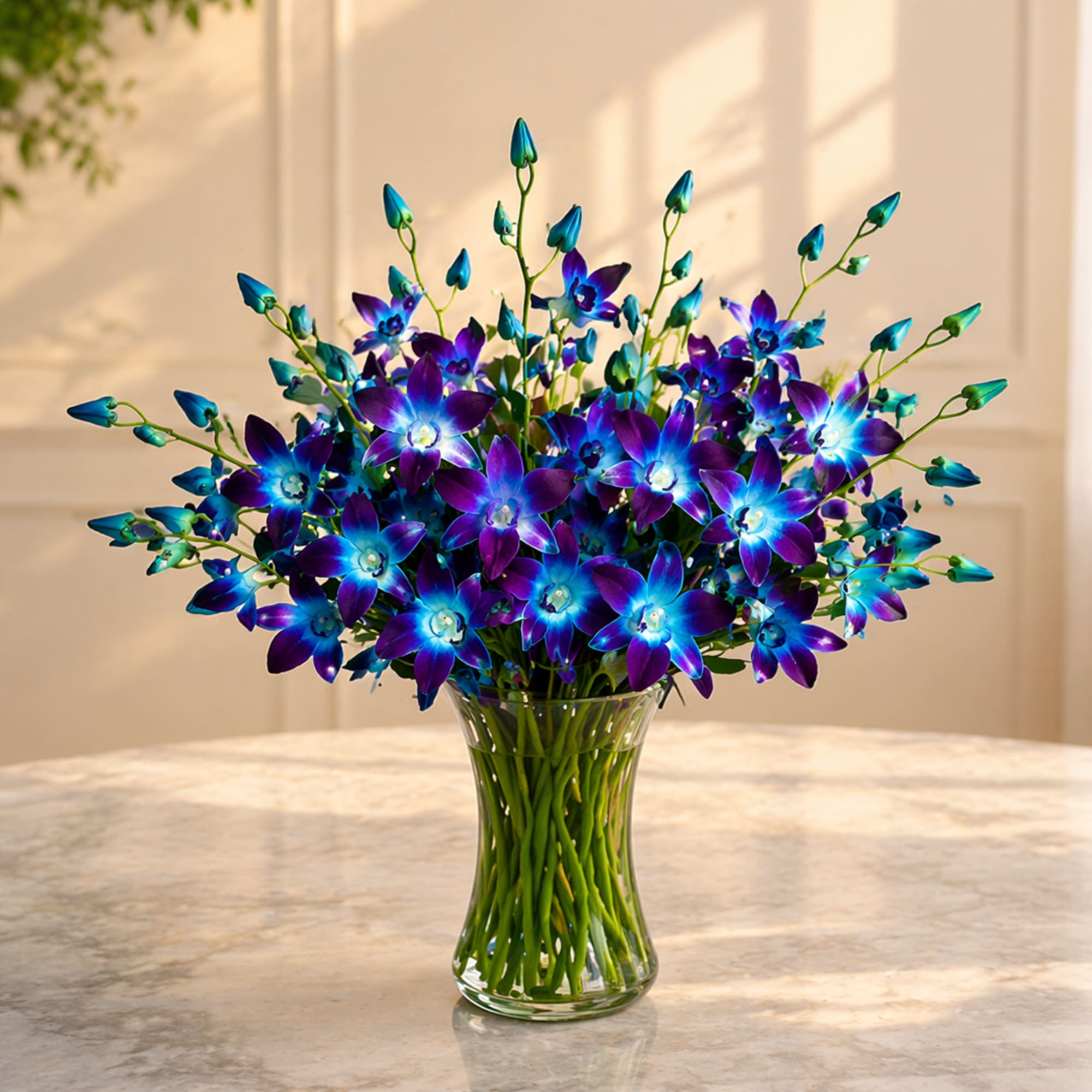 

This elegant blue orchid arrangement is available in both 20 stem and