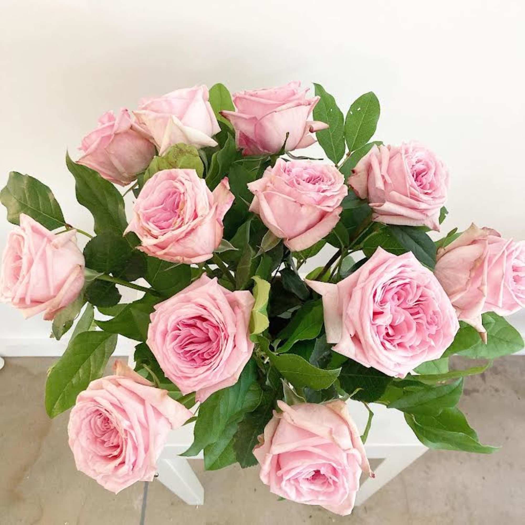 Bouquet of pale pink roses with green foliage