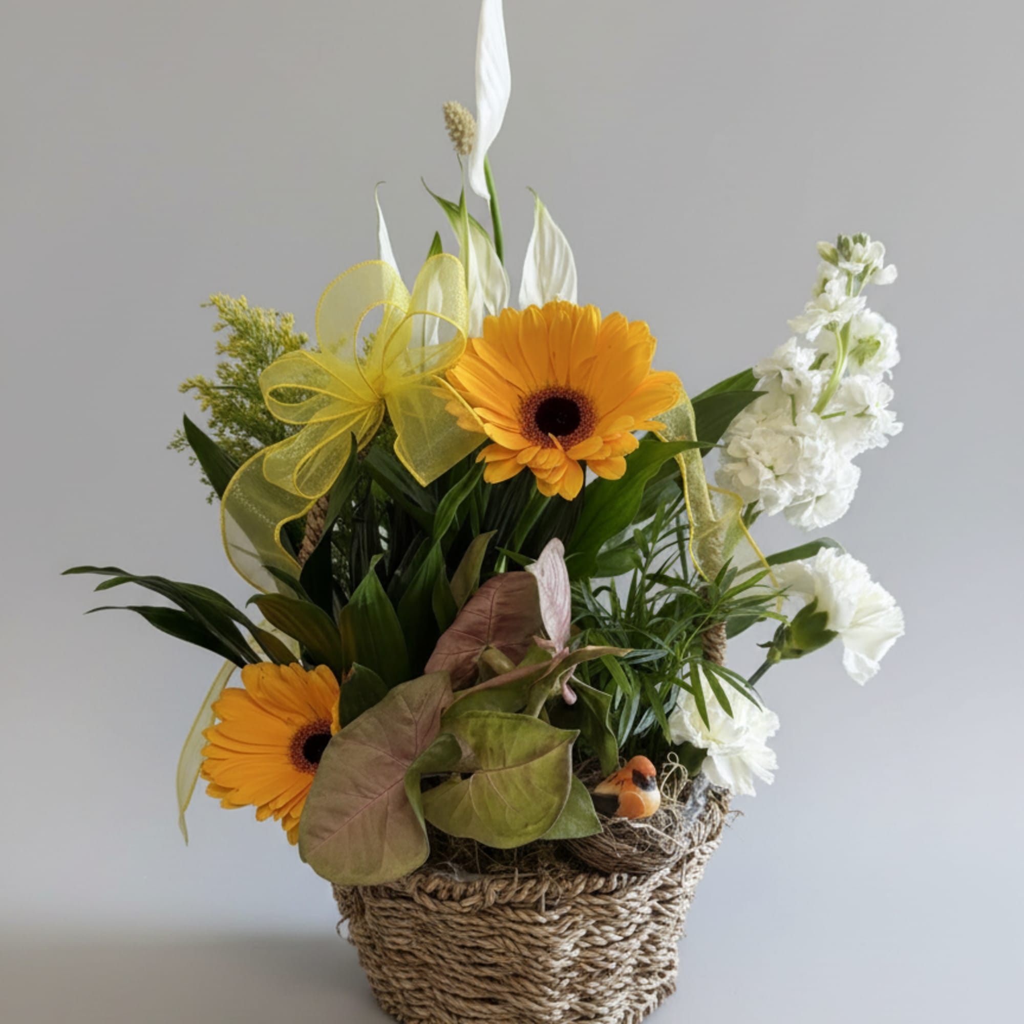 Beautiful collection of plants with different heights, textures and colors artfully arranged