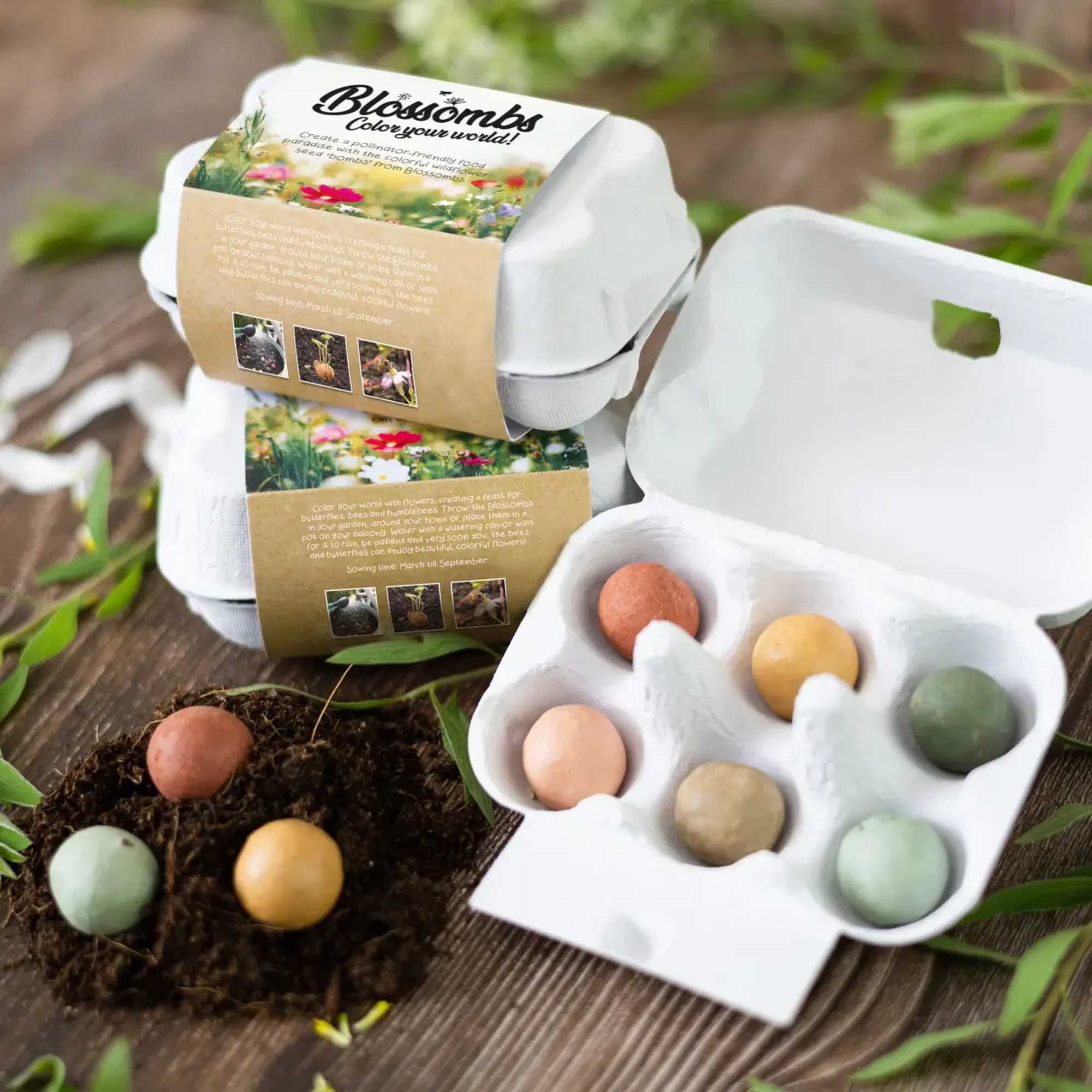 This Egg Carton gift includes 6 handmade seed balls in cheerful egg, photo 2 of 4