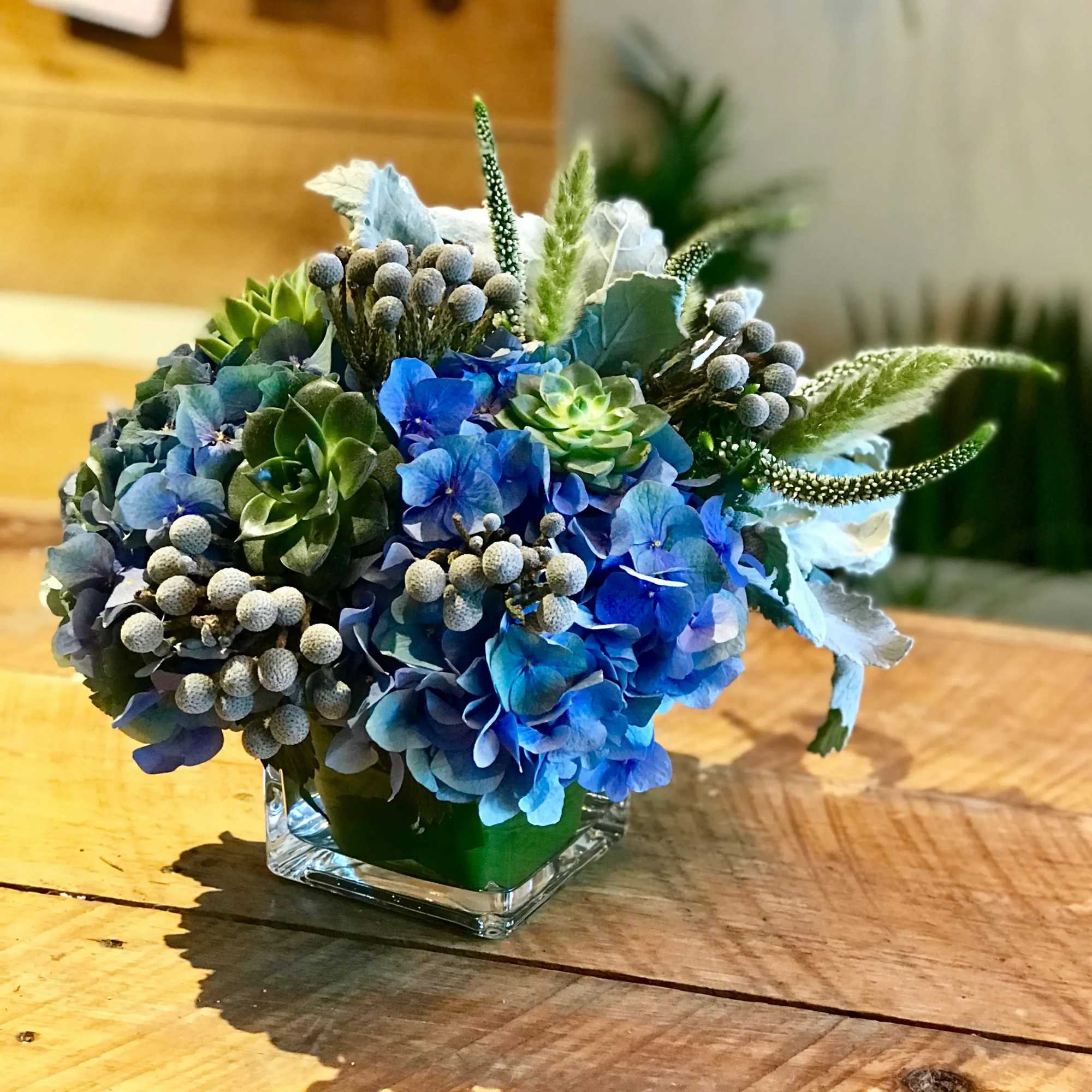 Blue hydrangea and succulent arrangement in a square glass vase