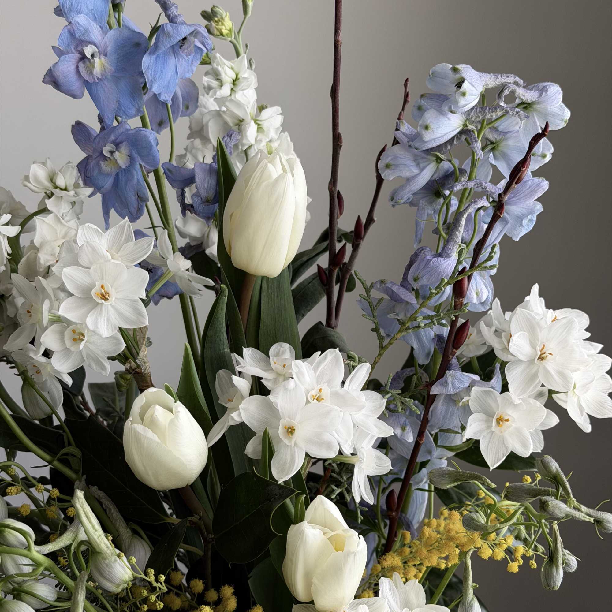 Bouquet of blue and white flowers with white tulips and daffodils