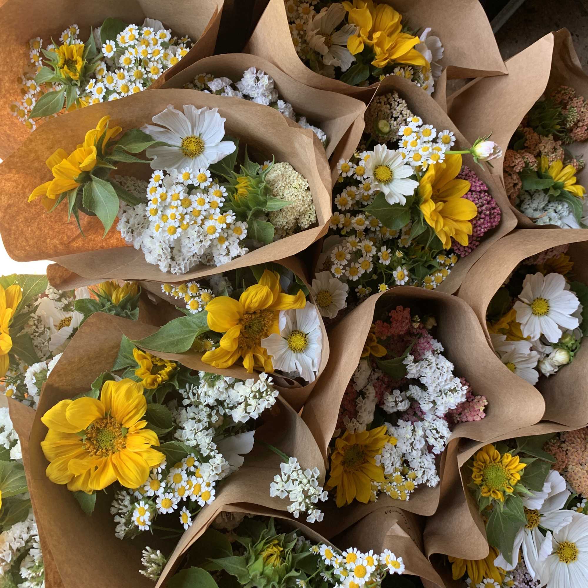 NOTE: This seasonal wrapped bouquet is available for pick up at the