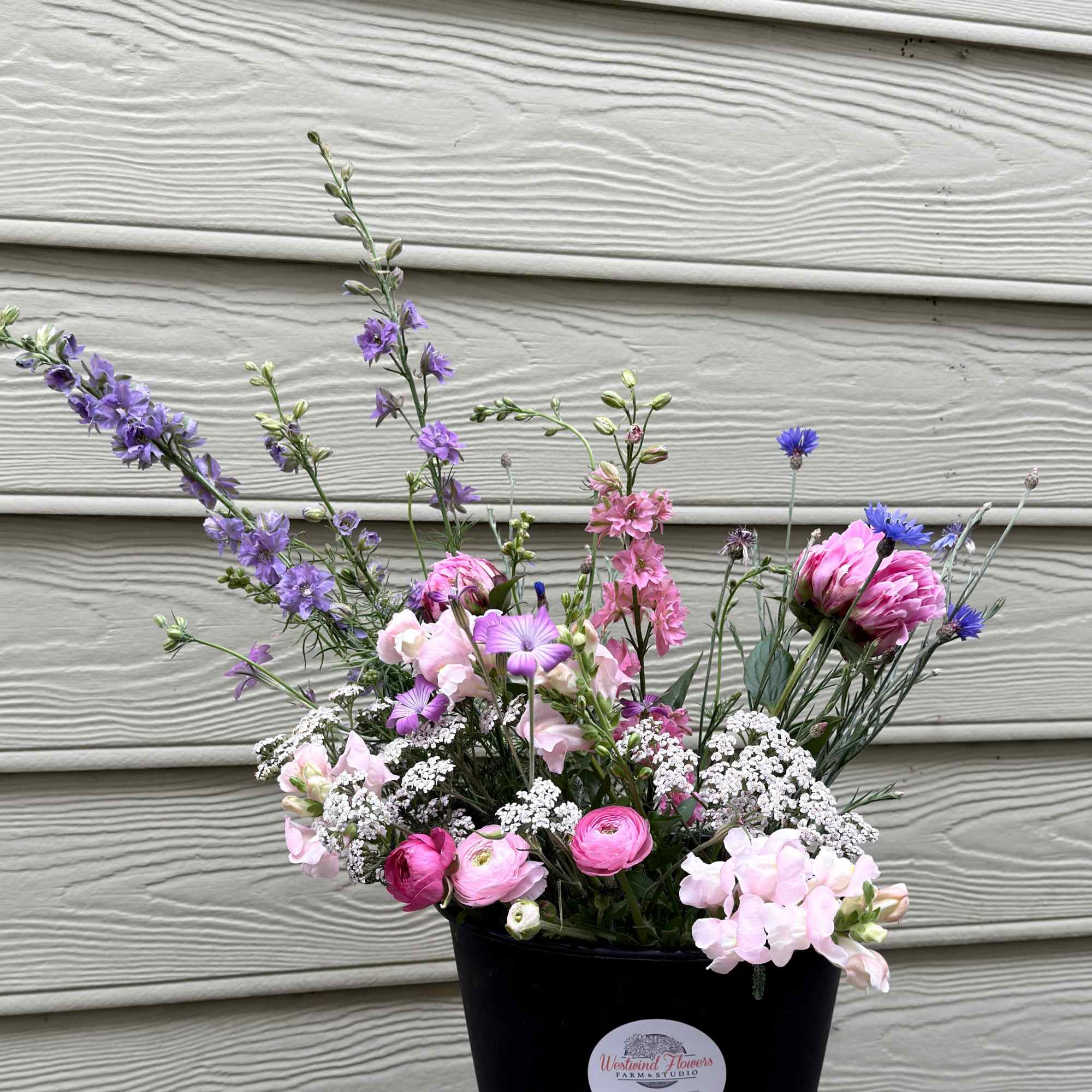 The flower season is underway and the fields are ready for harvesting.