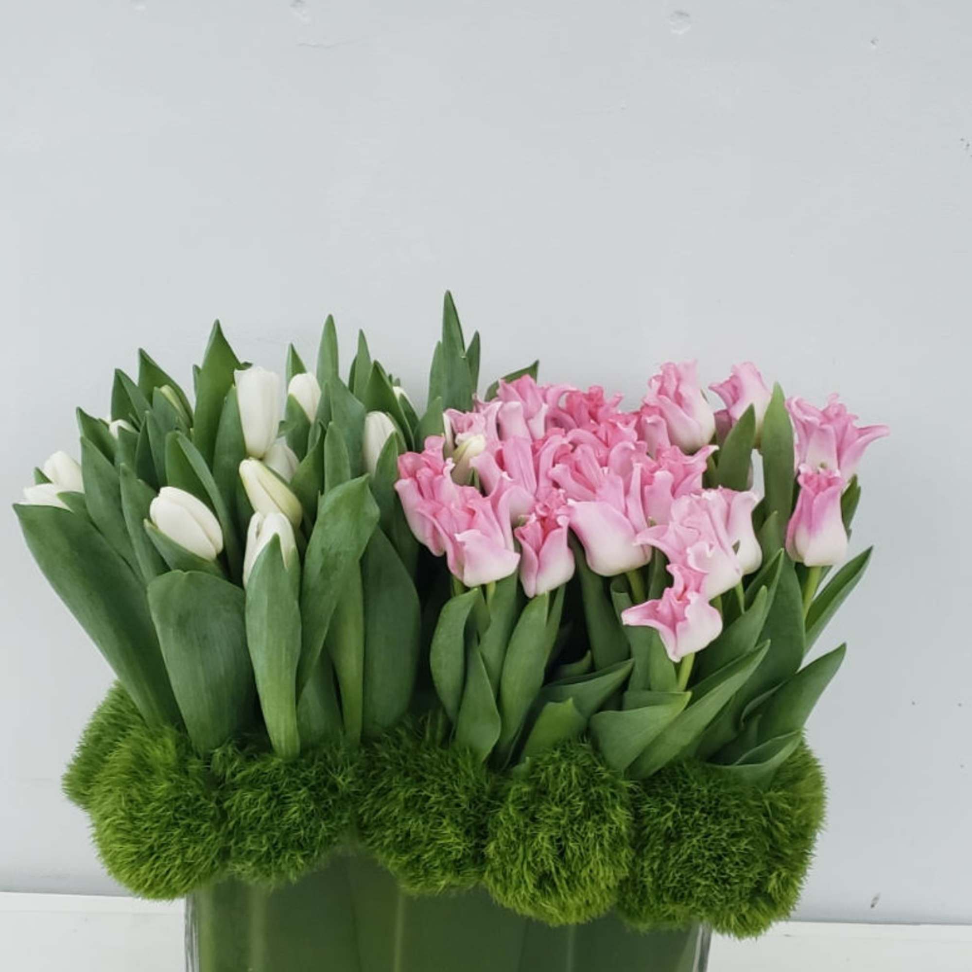 Pink and white tulips arranged in a clear rectangular vase