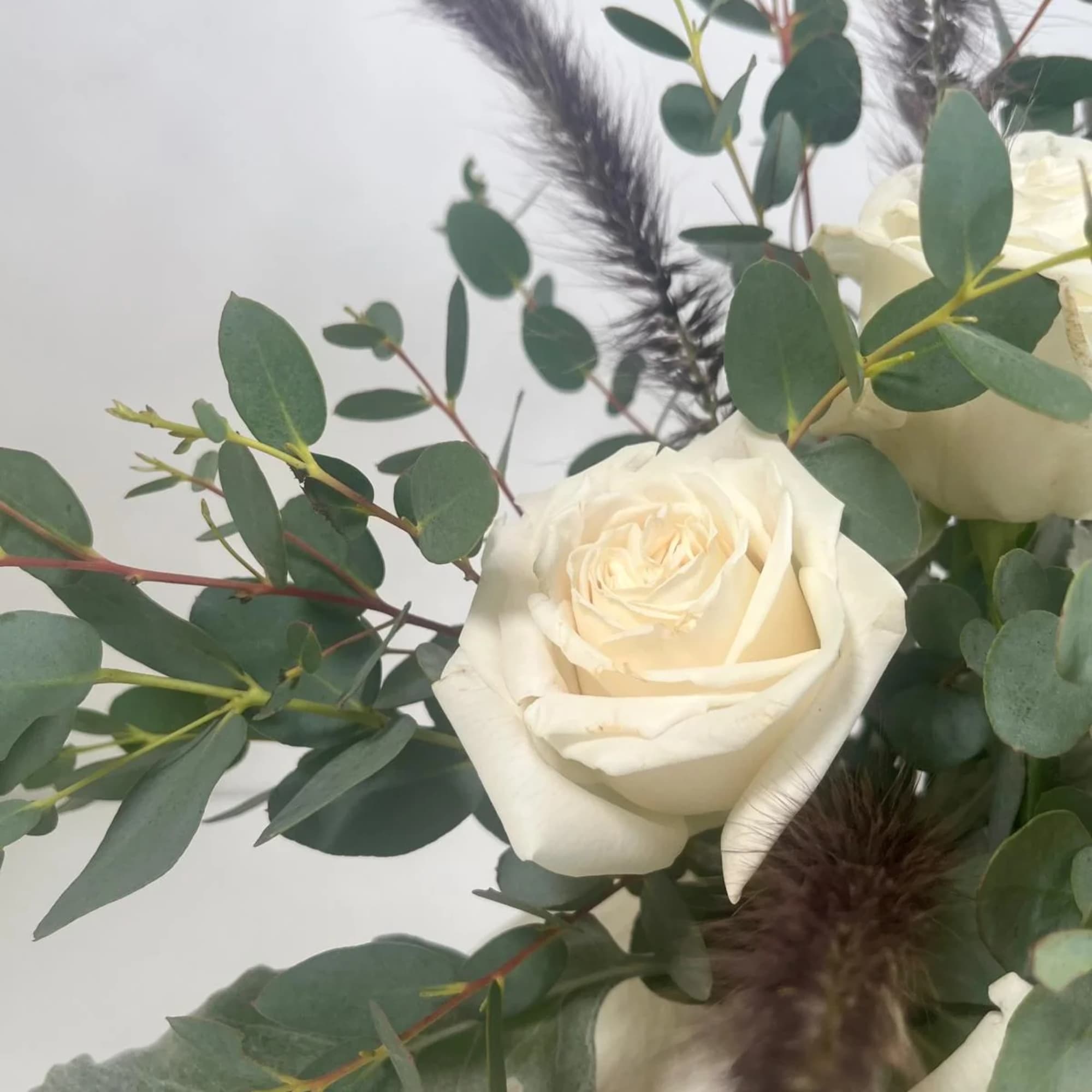 White roses with eucalyptus and dark feathery accents