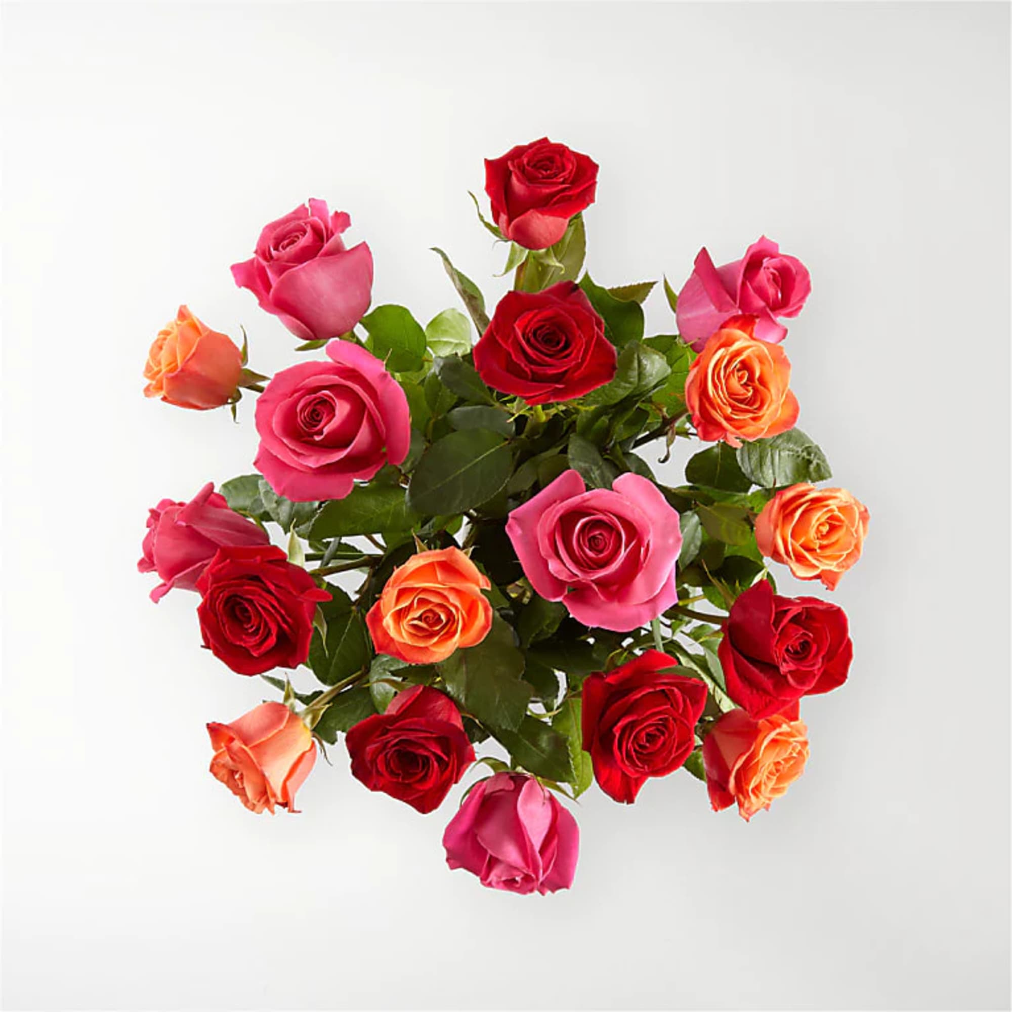 18 Red Roses Deluxe
All Occasion
Crystal Clear Glass Vessel

Place your Order Online Monday, photo 2 of 2