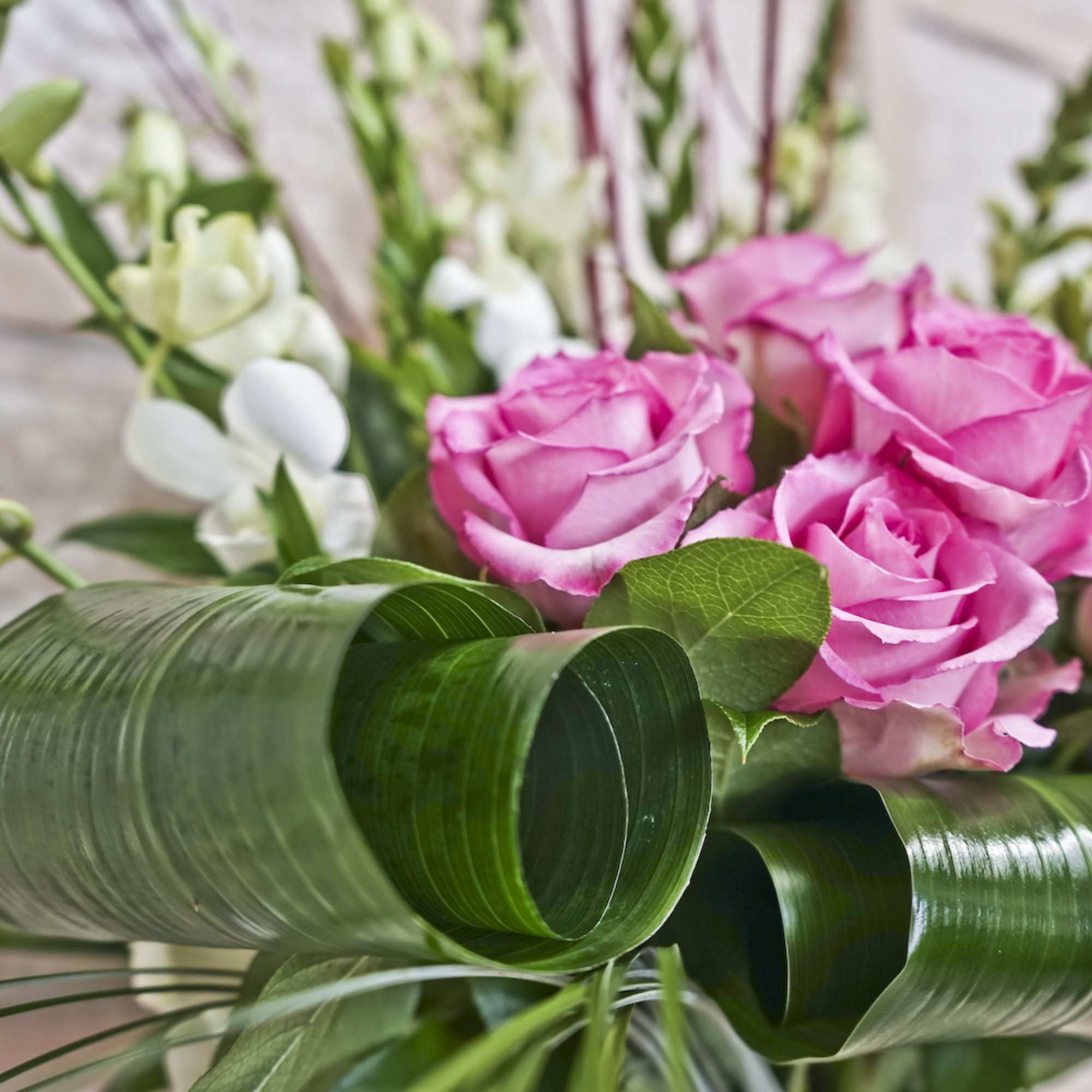 Pink roses with white orchids and curled green leaves