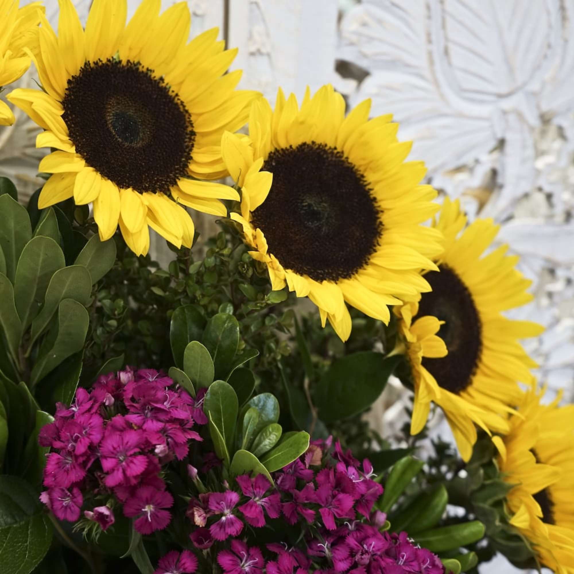 Bouquet of yellow sunflowers and magenta carnations with greenery