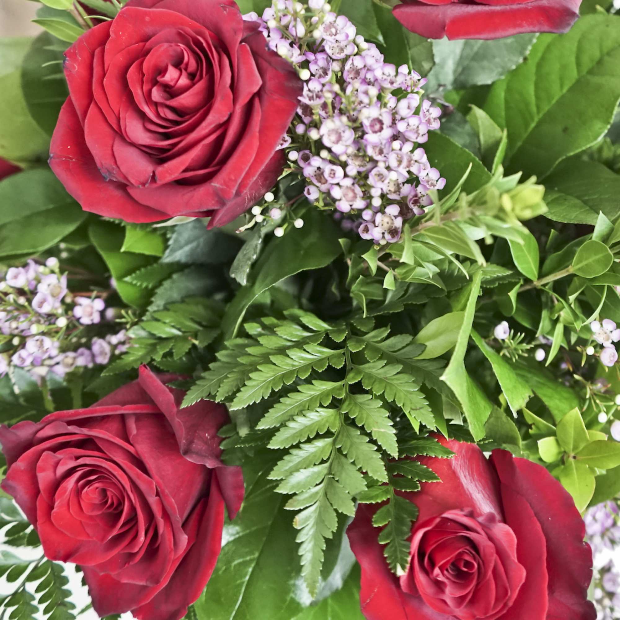 Close-up bouquet of red roses with small pink filler flowers