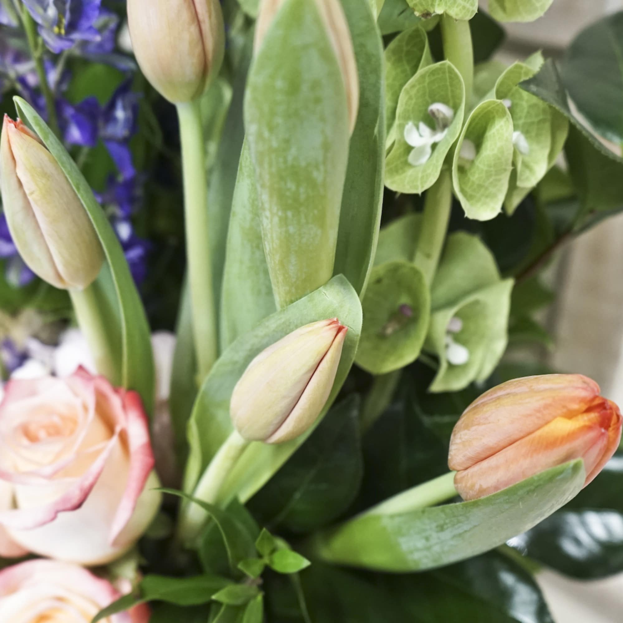 Bouquet of peach tulips and pale pink roses with green hydrangea