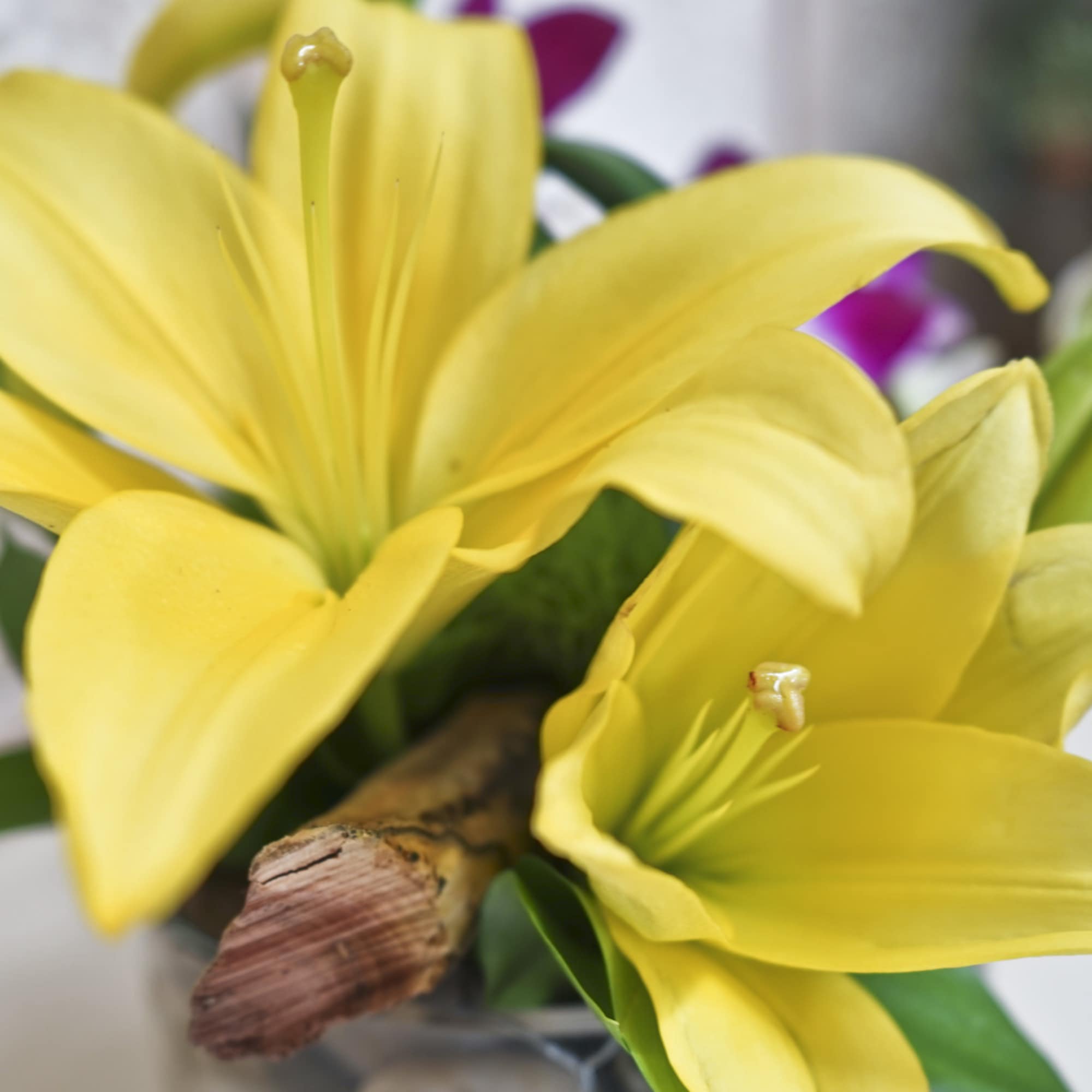 Close-up of yellow lilies in a bouquet
