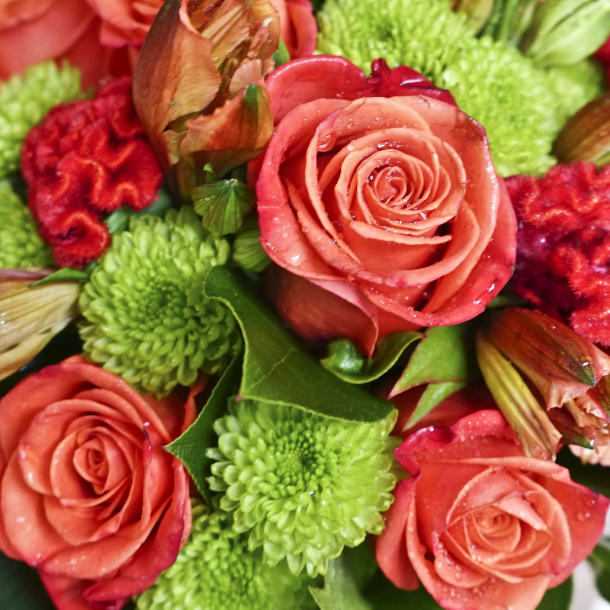 Close-up bouquet of coral roses and green chrysanthemums