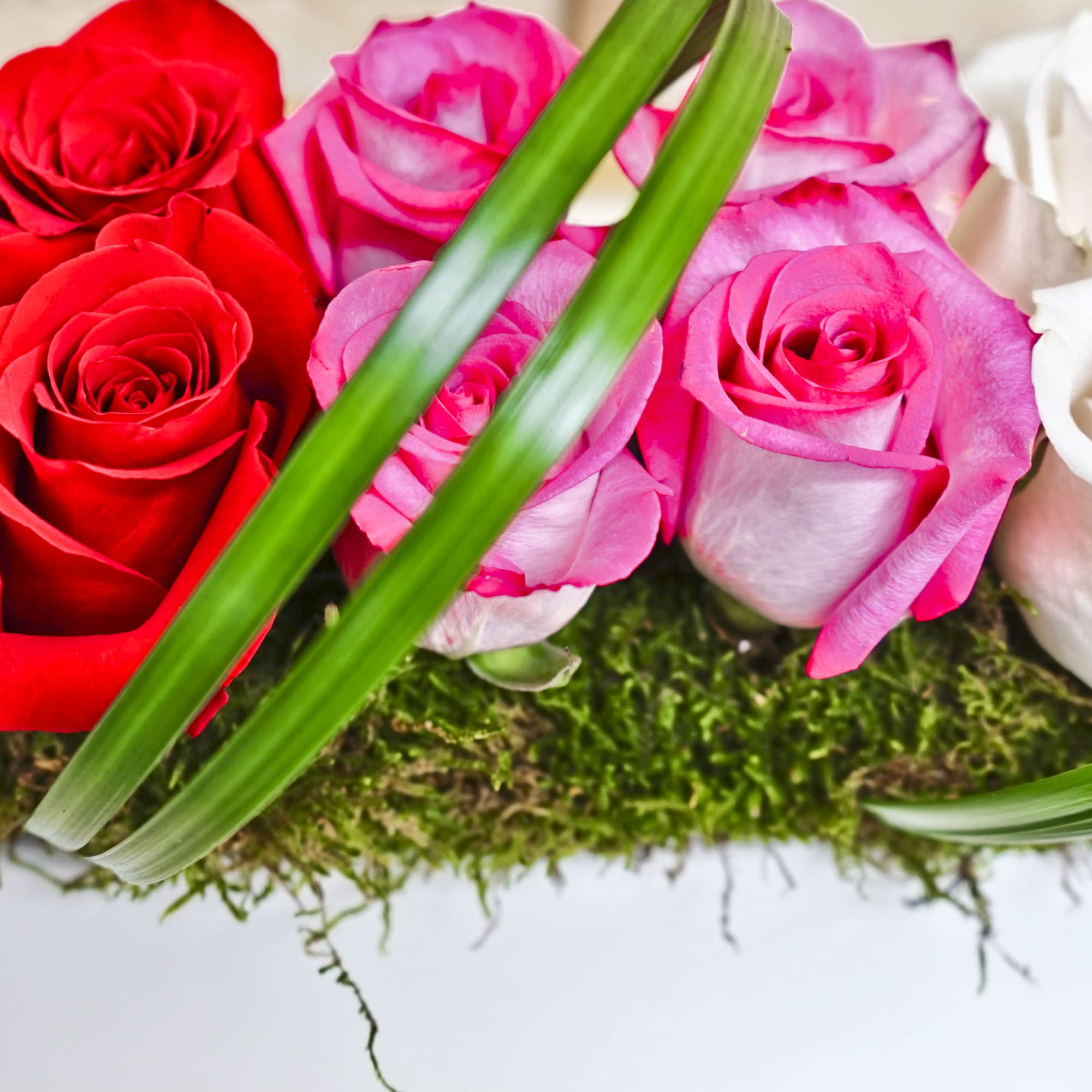 Close-up bouquet of red and pink roses with long green leaves
