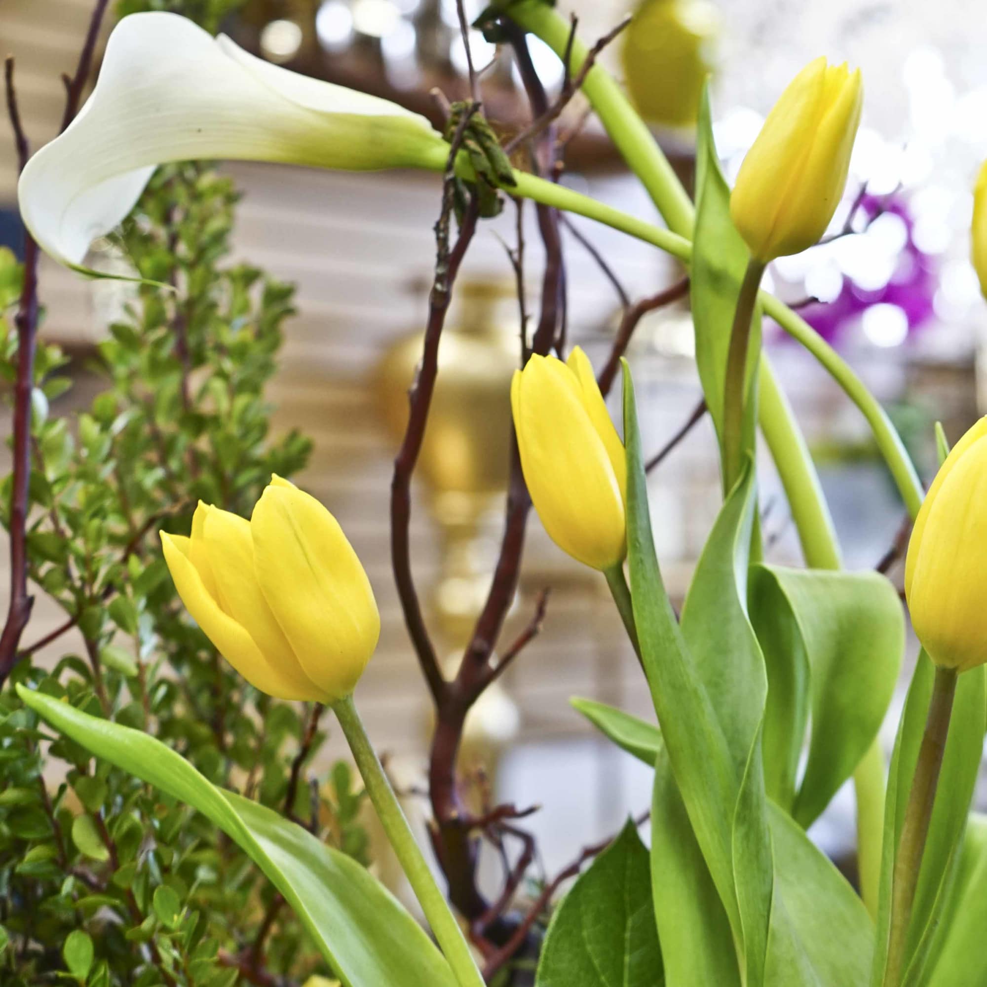 Yellow tulips and a white calla lily in a floral arrangement