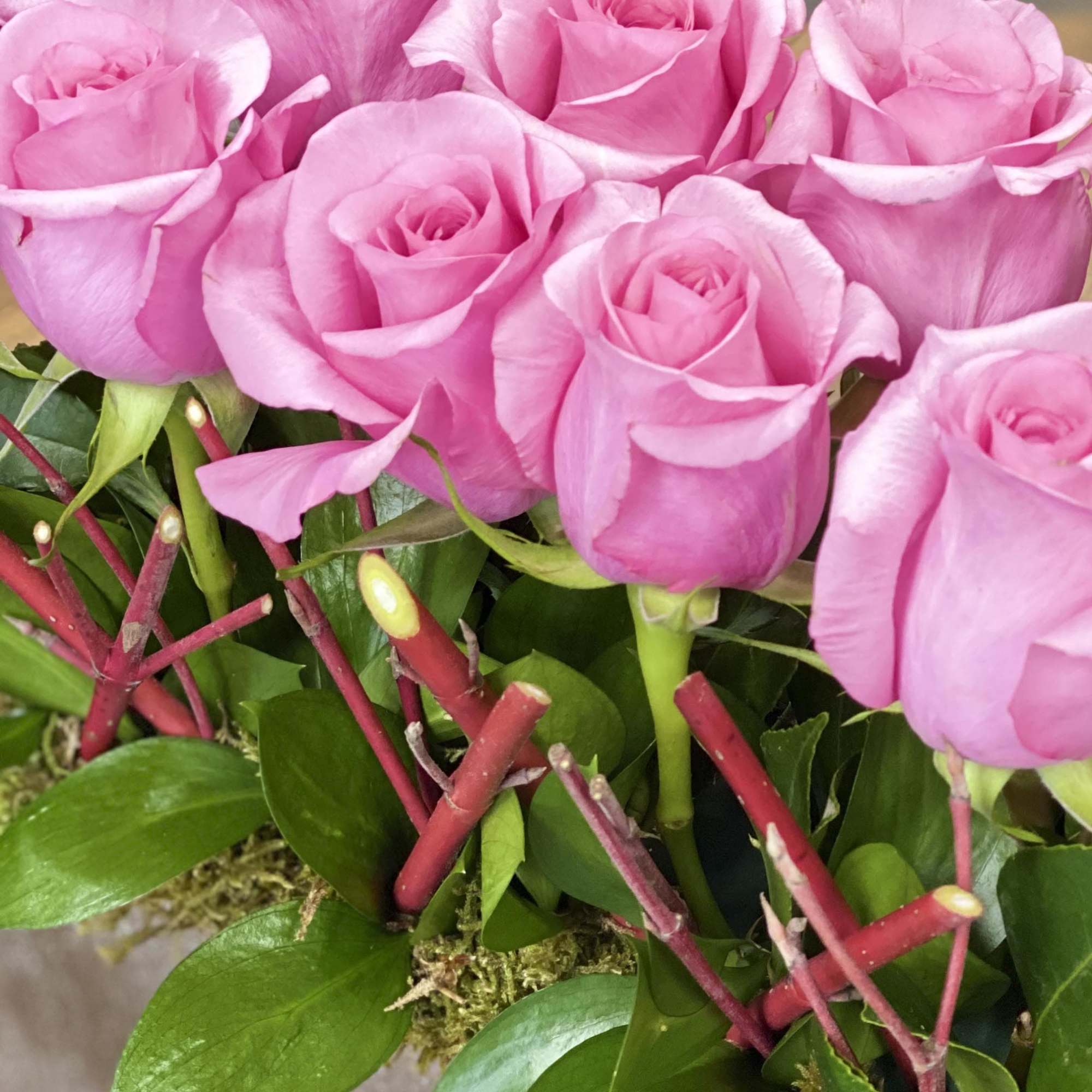Close-up bouquet of pink roses with glossy green foliage