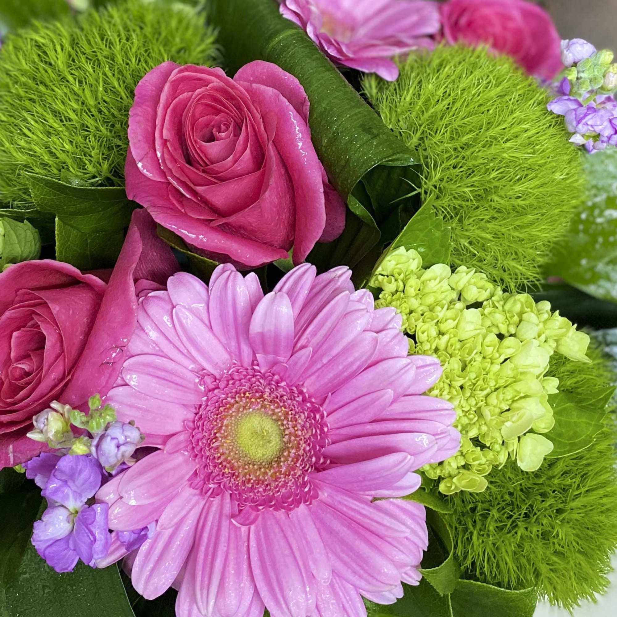 Pink roses and gerbera daisies with green hydrangea in a bouquet