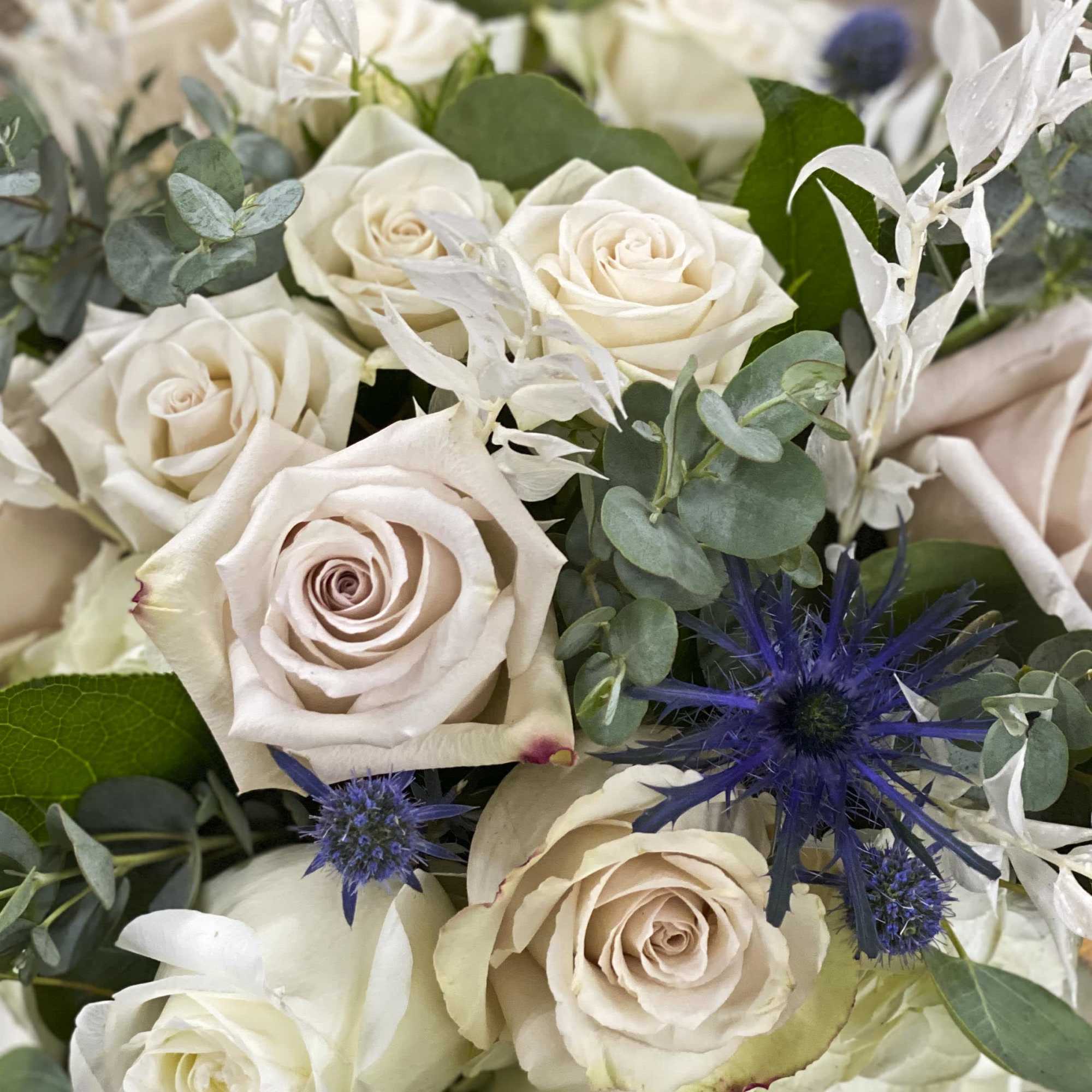 Close-up bouquet of cream roses with blue thistle and eucalyptus