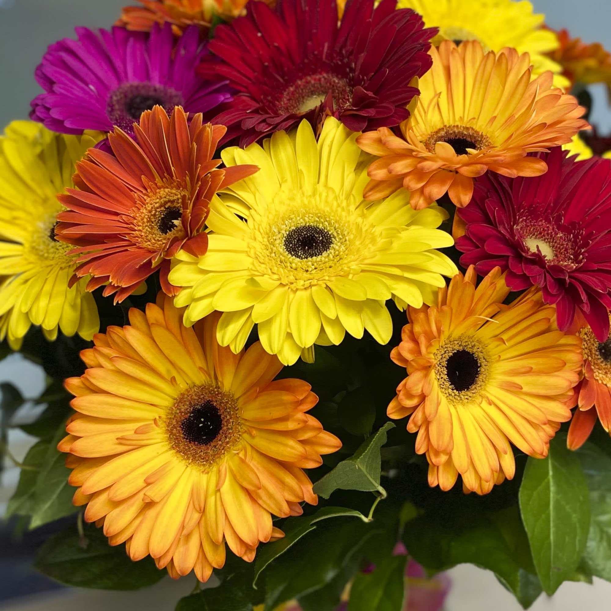 Bouquet of colorful gerbera daisies in yellow, orange, red, and pink