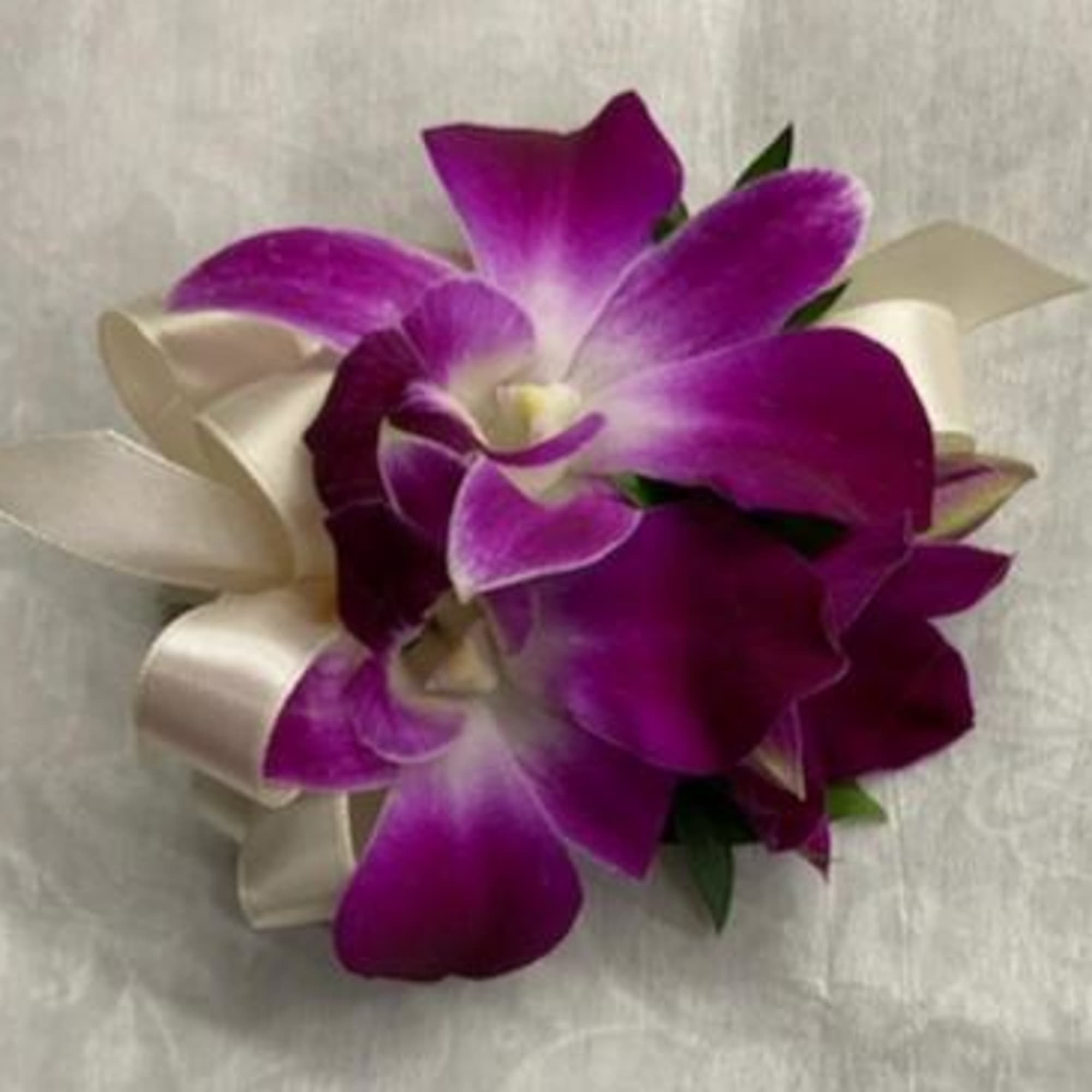 Purple orchid corsage with cream ribbon