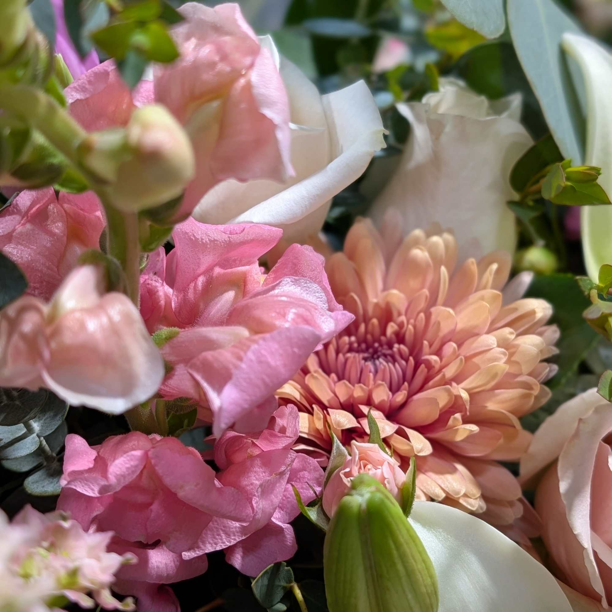 Pink and white flowers in a close-up bouquet