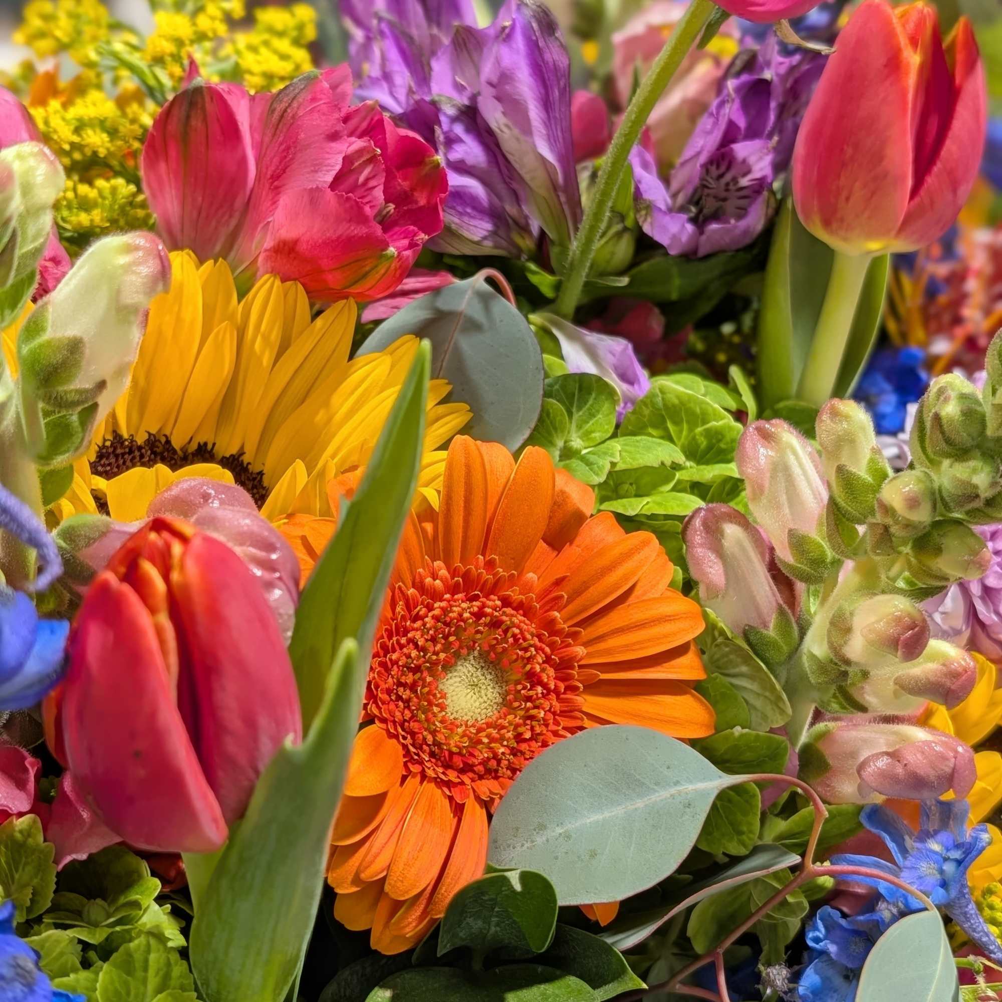 A mixture of seasonal spring flowers design in a long rectangle box.
**, photo 3 of 3