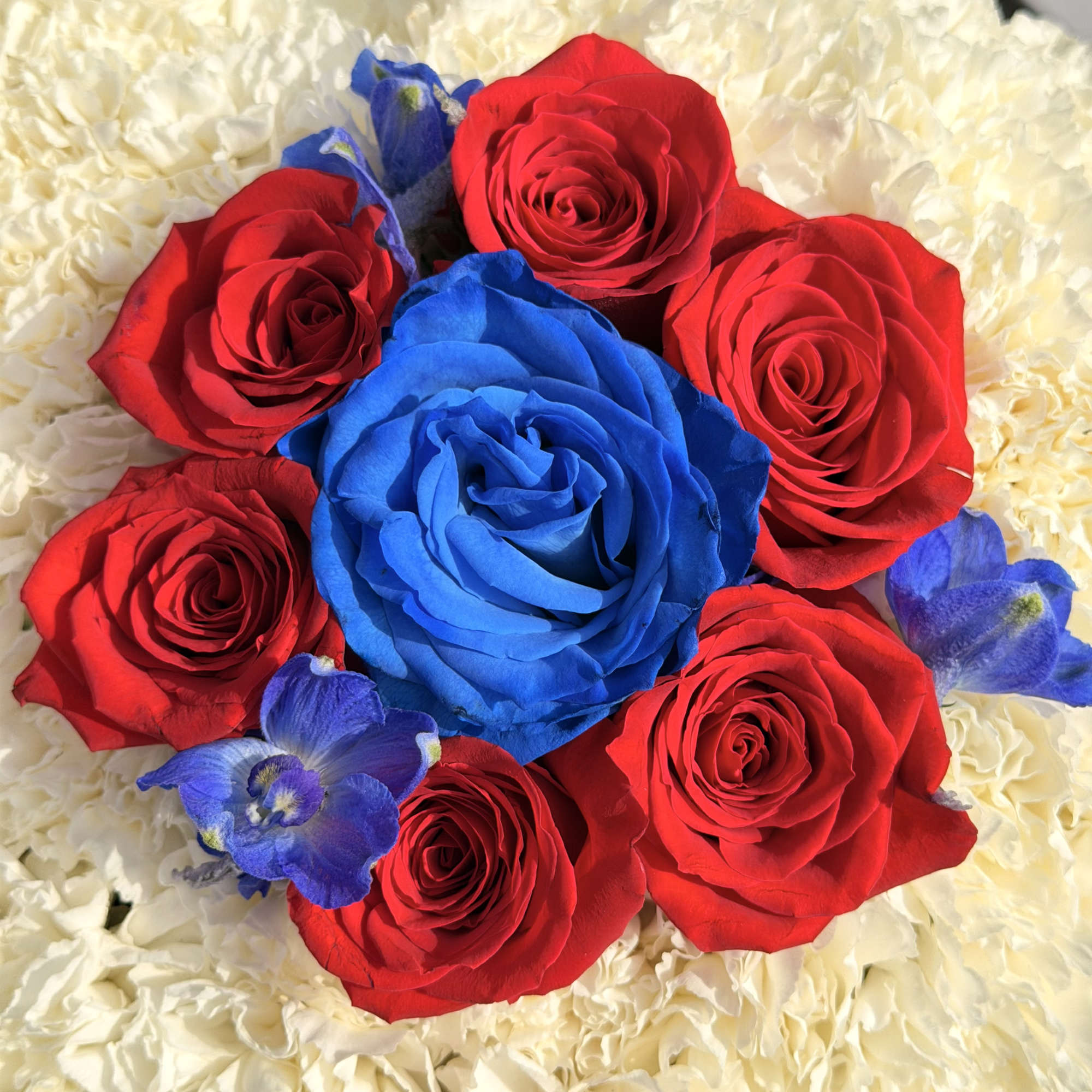 Red and blue roses arranged on a cream textured background